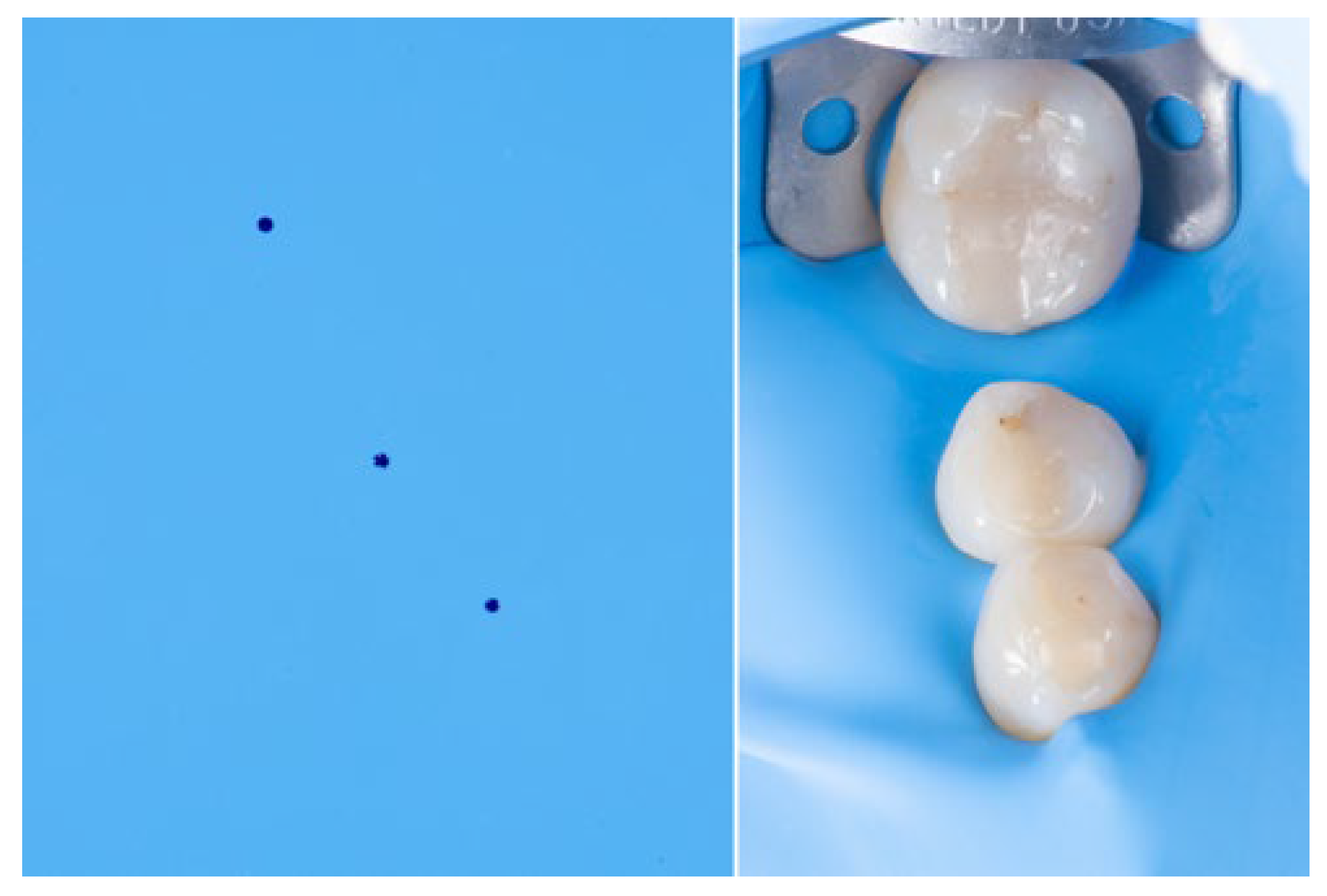 Preprints 195282 g003