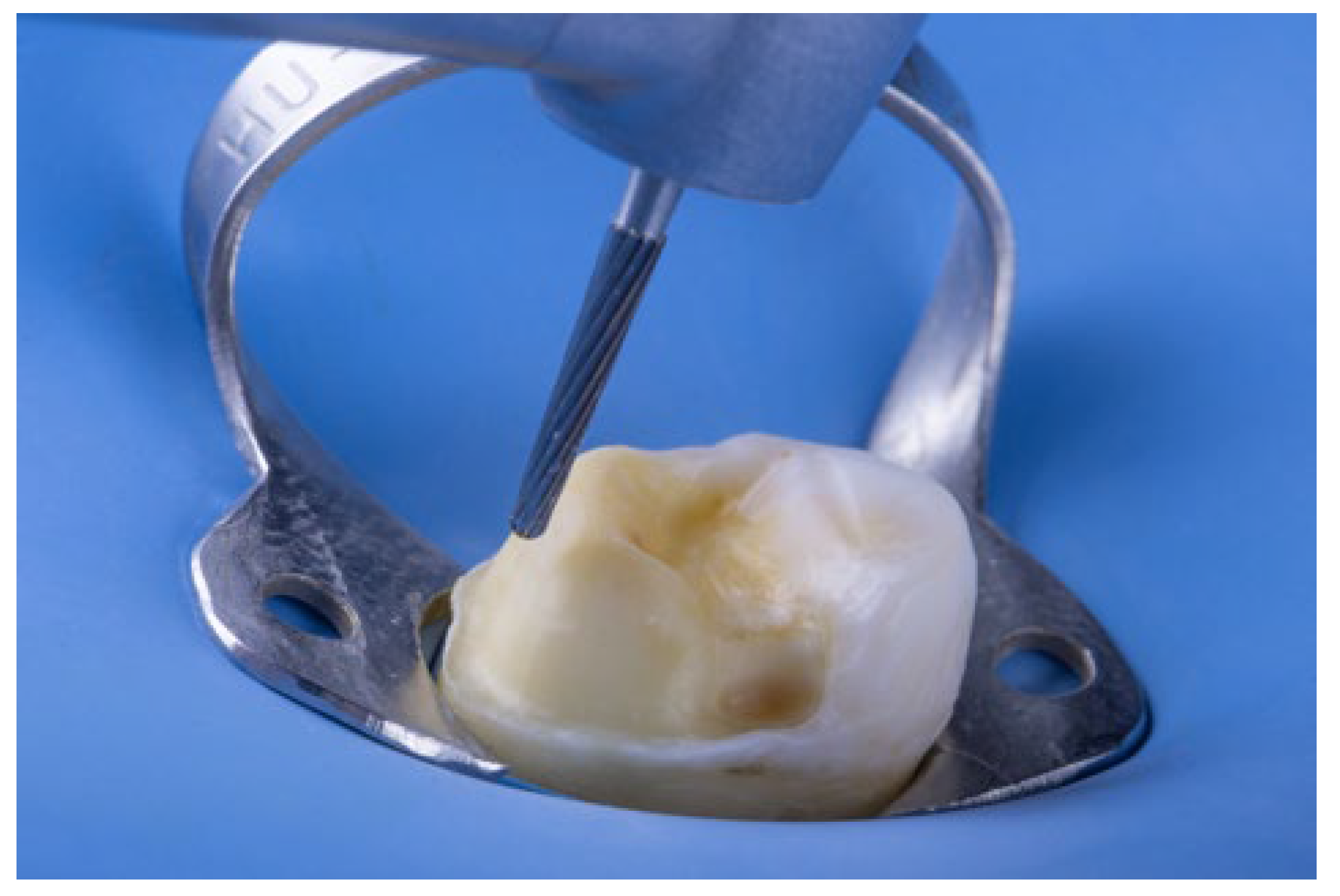 Preprints 195282 g006