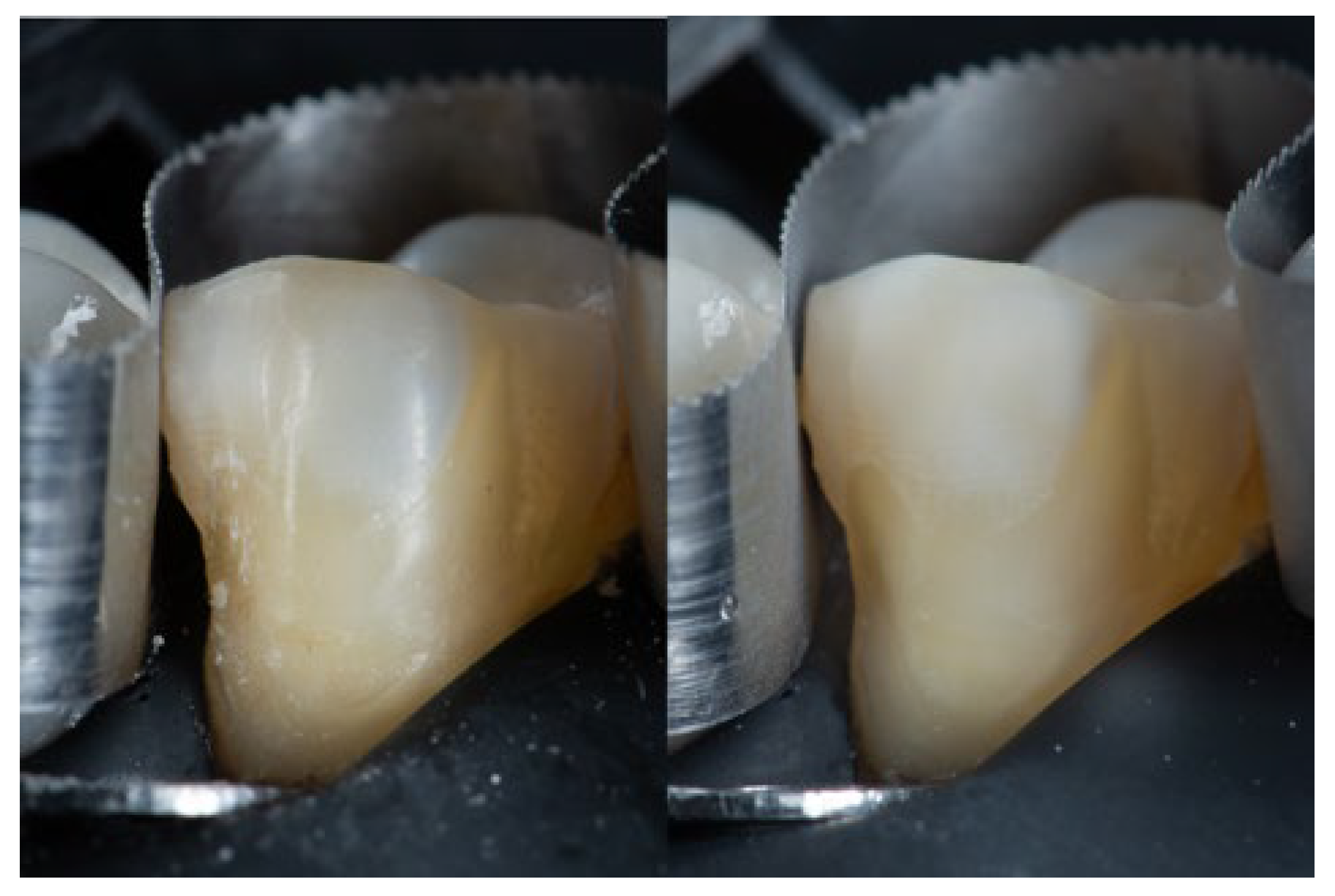 Preprints 195282 g007