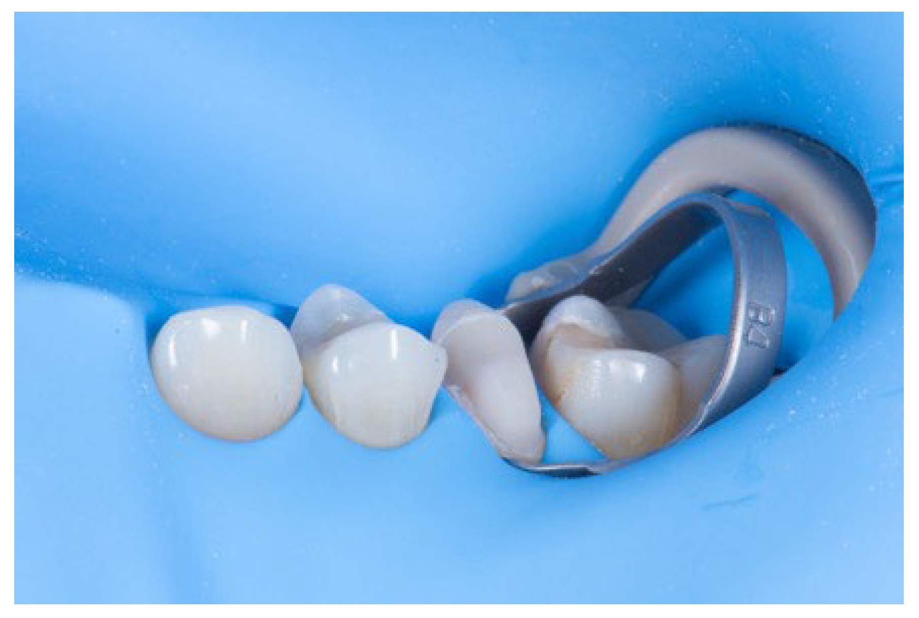 Preprints 195282 g010