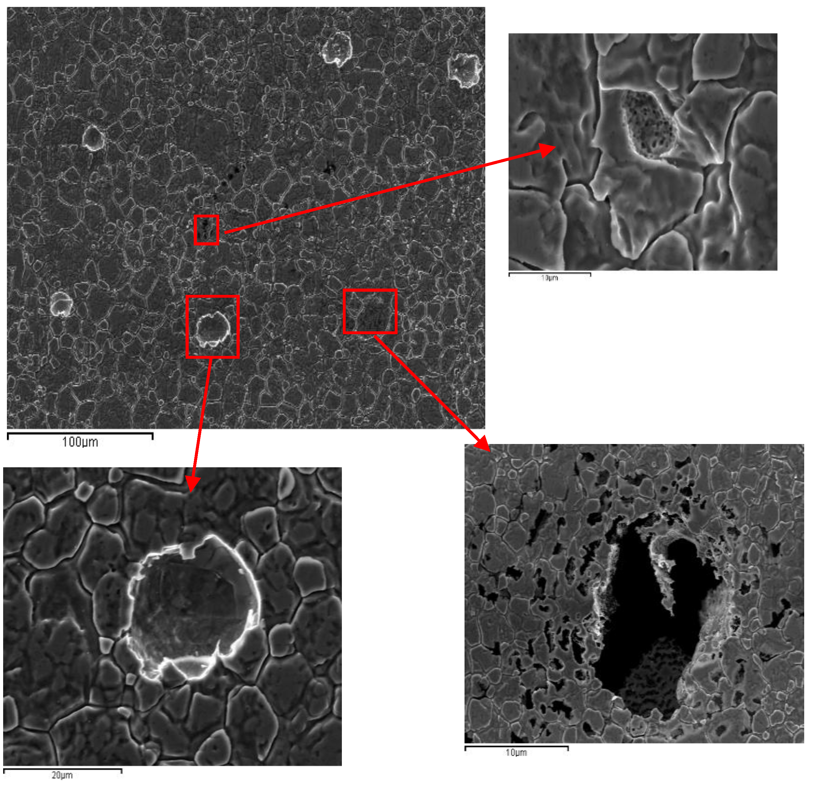 Preprints 187623 g006