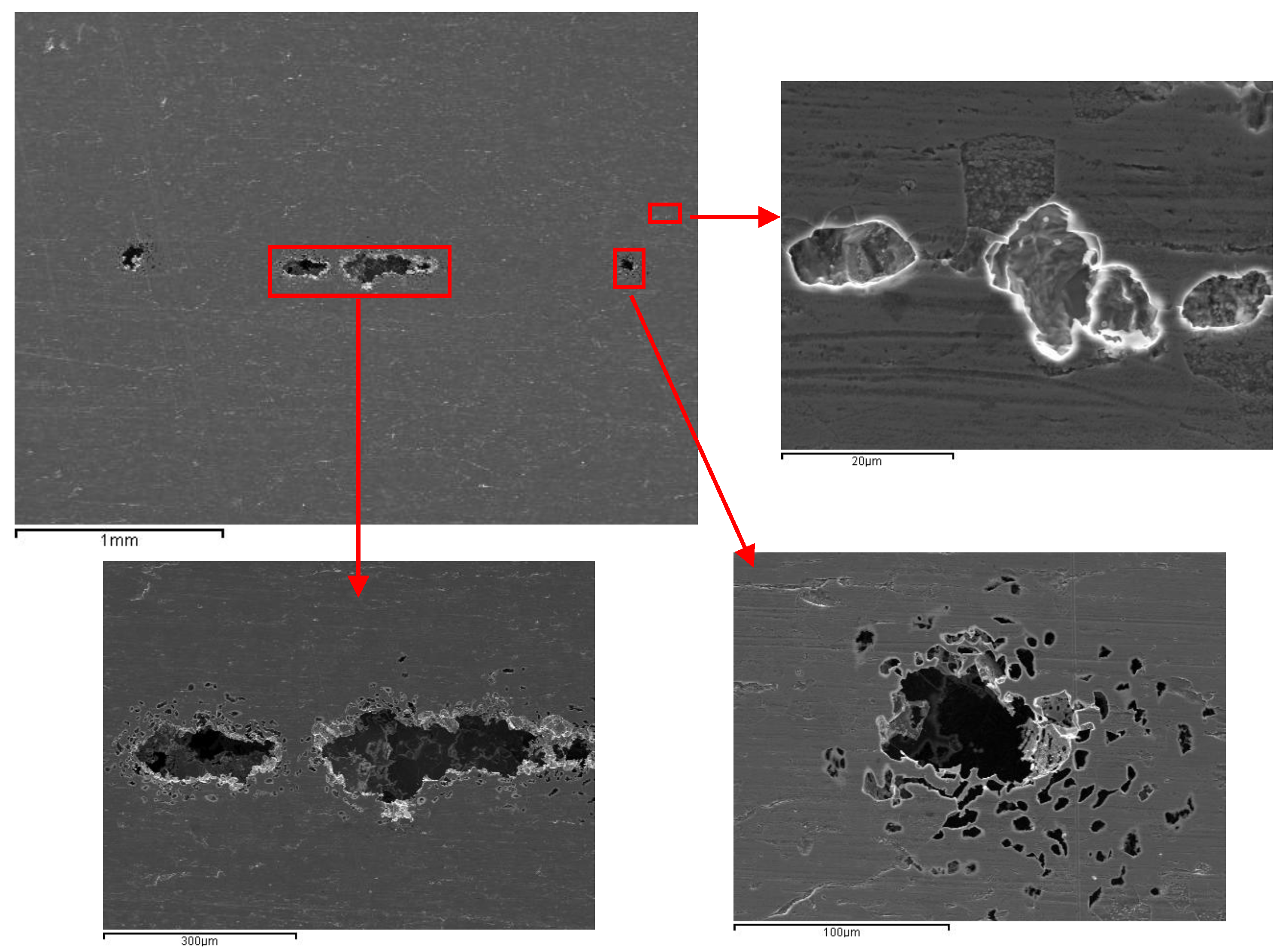 Preprints 187623 g007