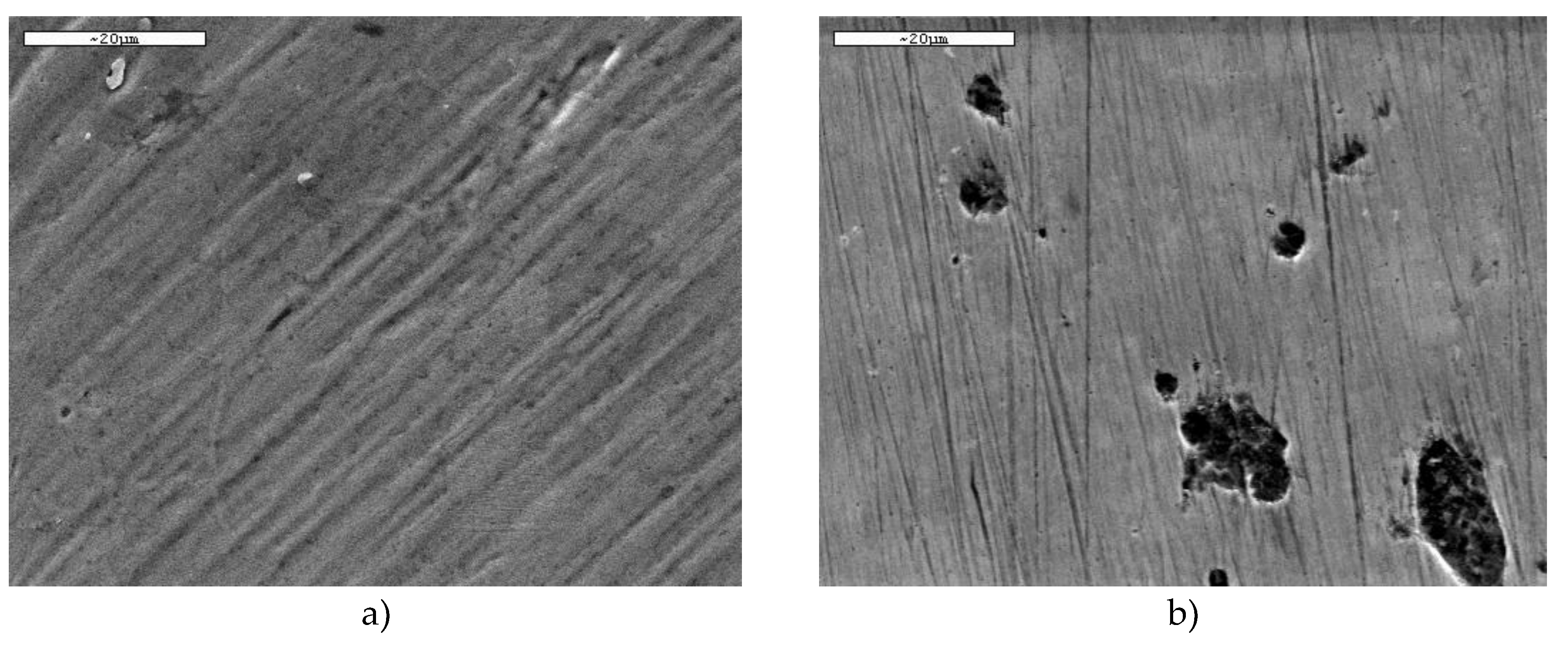 Preprints 187623 g008