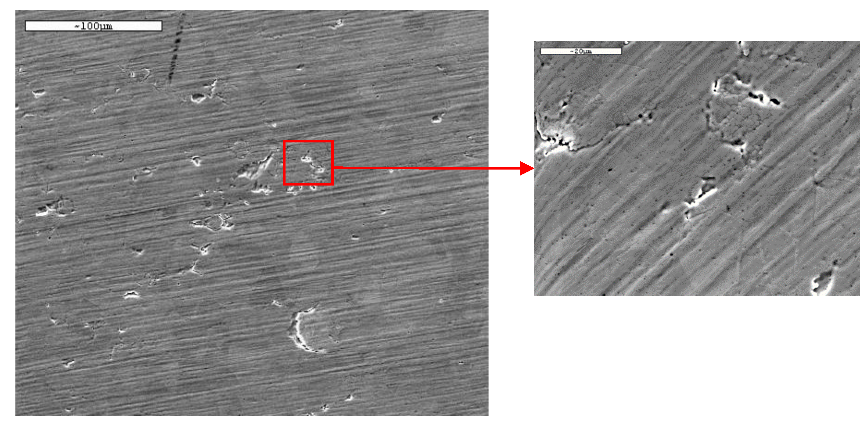 Preprints 187623 g011