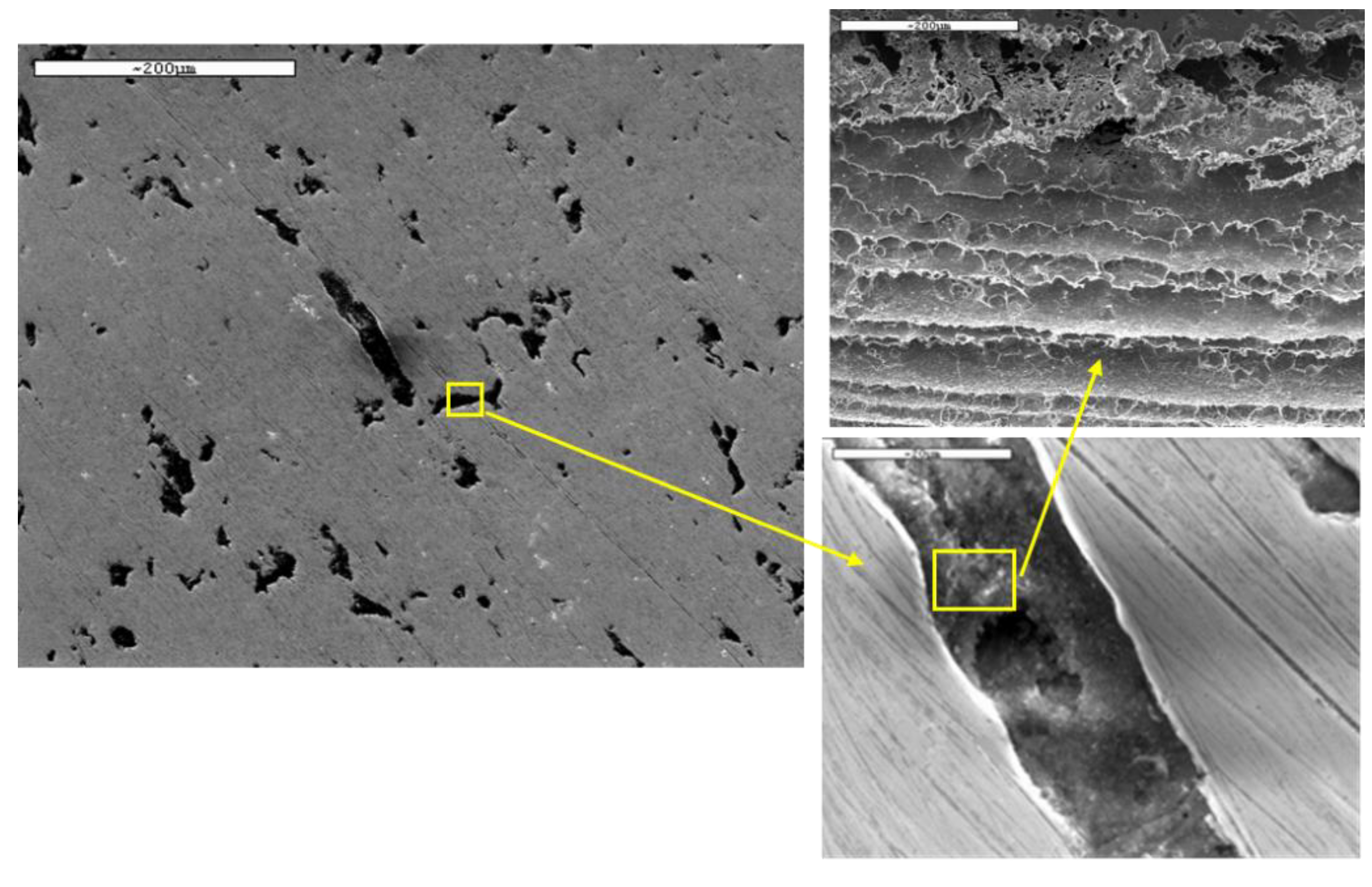 Preprints 187623 g012