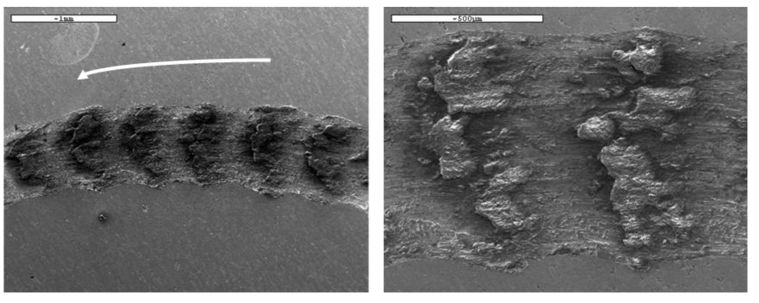 Preprints 187623 g016