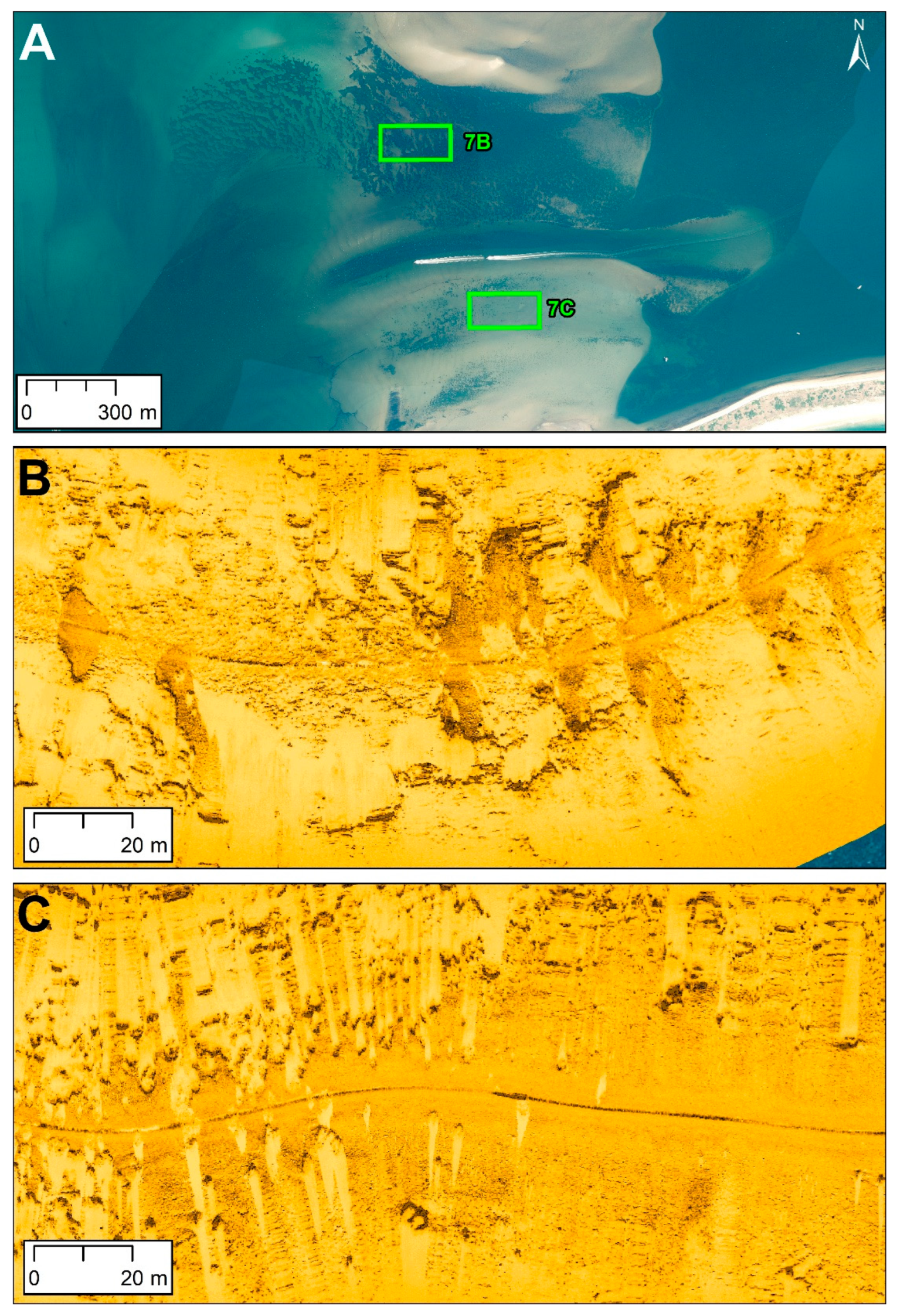 Preprints 169078 g007