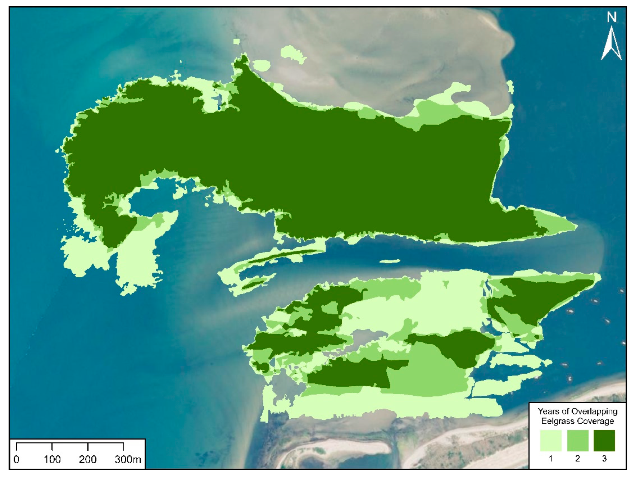 Preprints 169078 g008