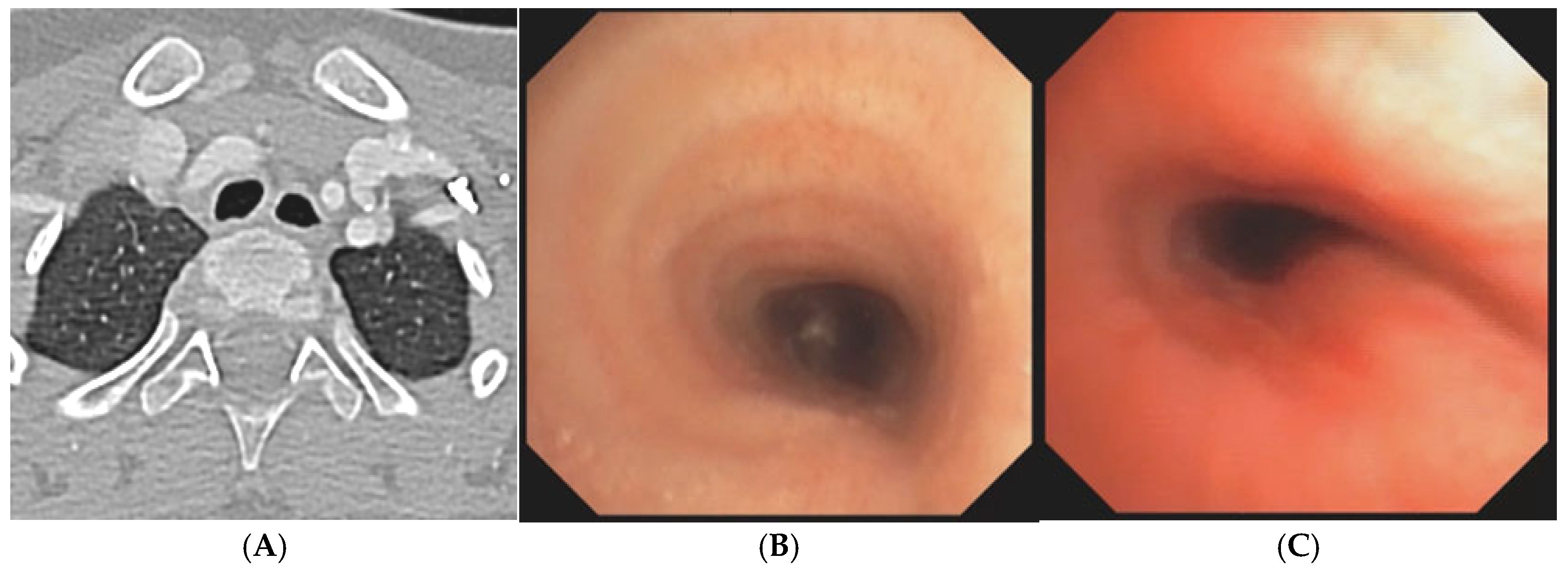 Preprints 172178 g003
