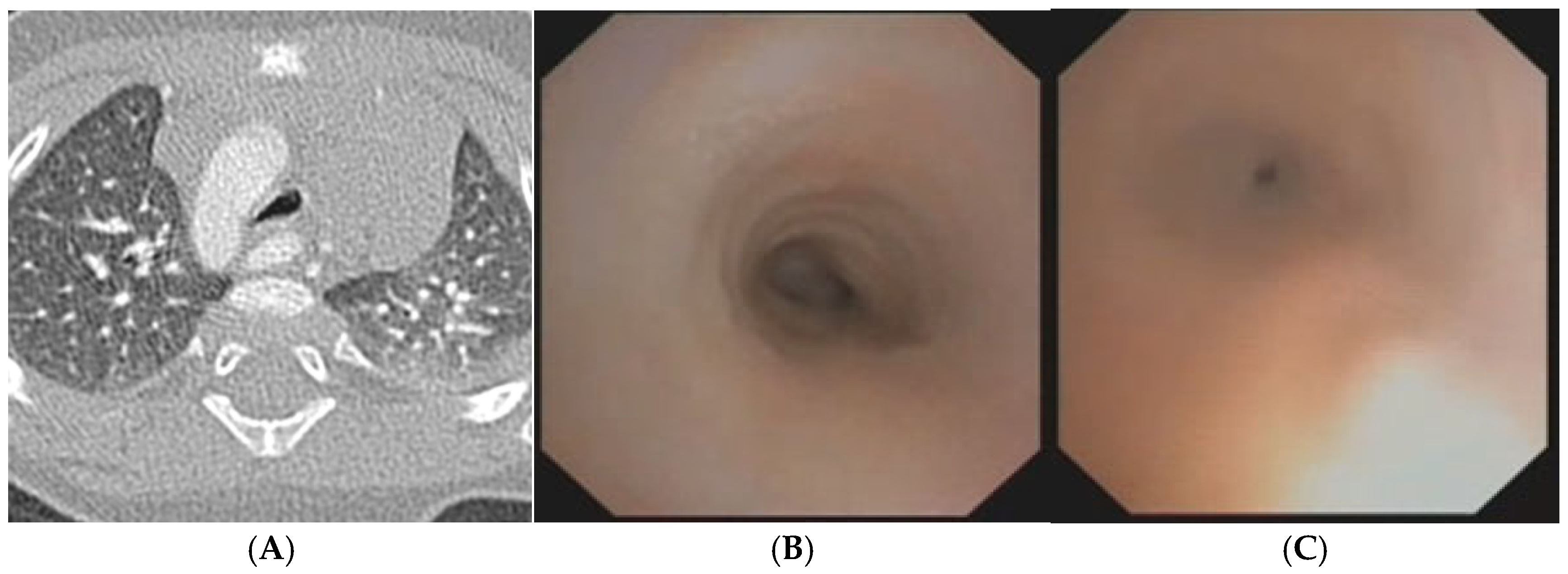 Preprints 172178 g004