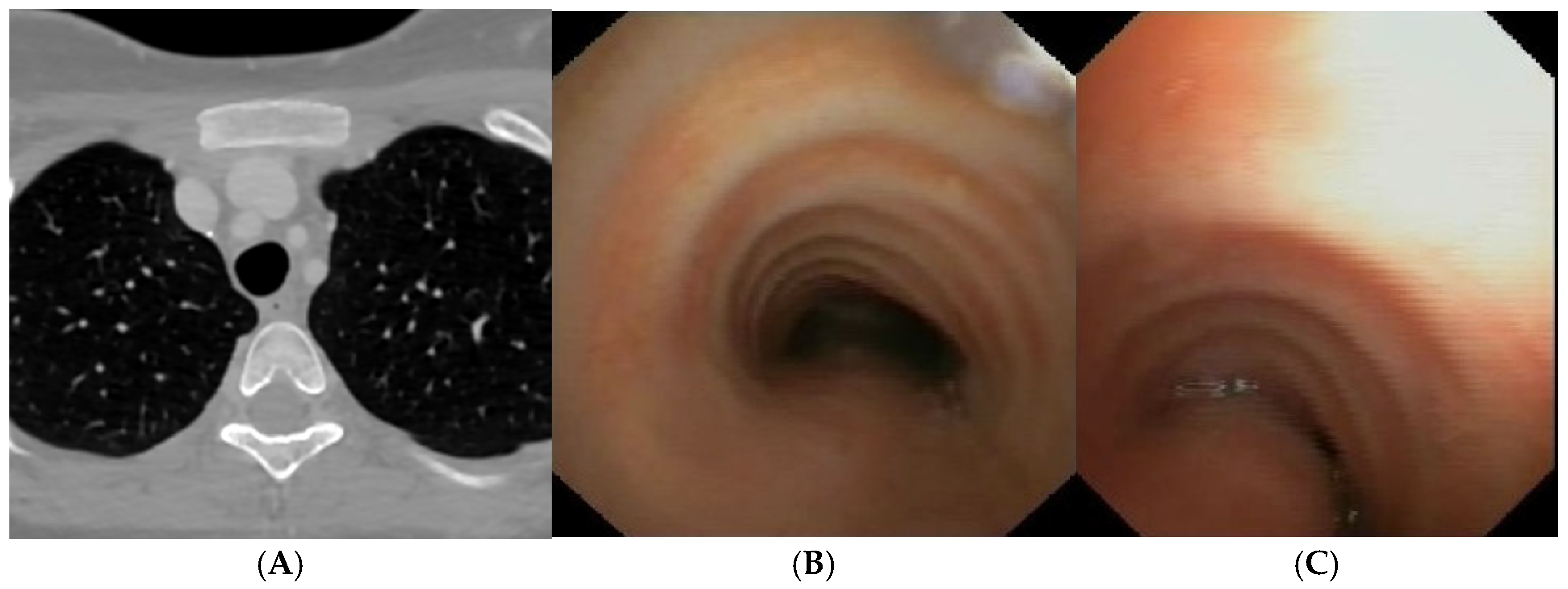 Preprints 172178 g005