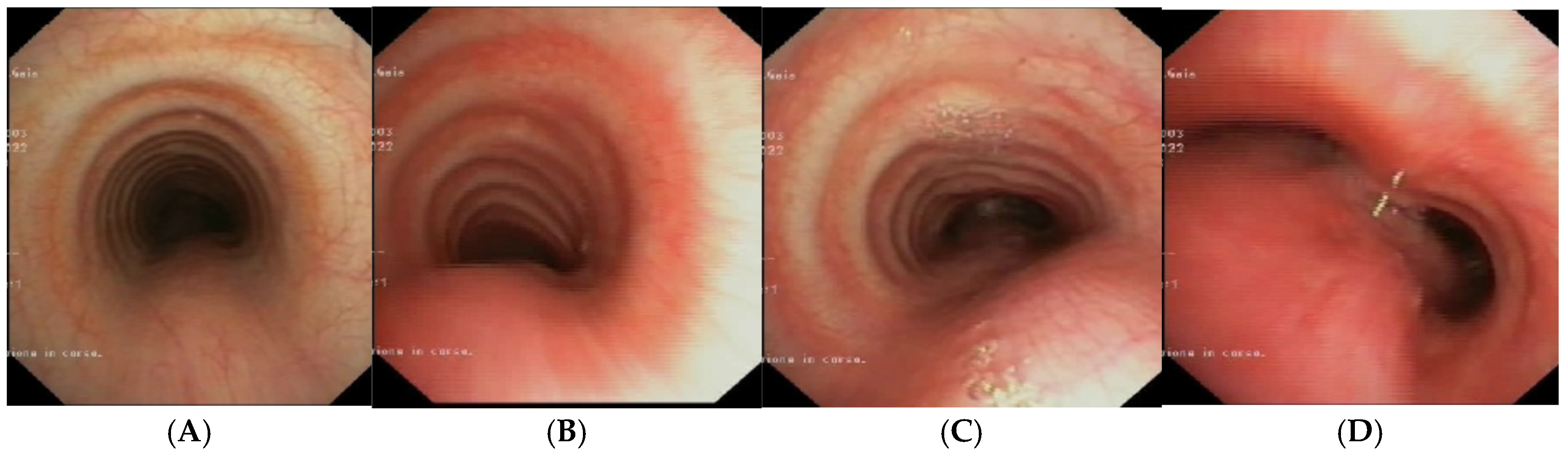Preprints 172178 g007