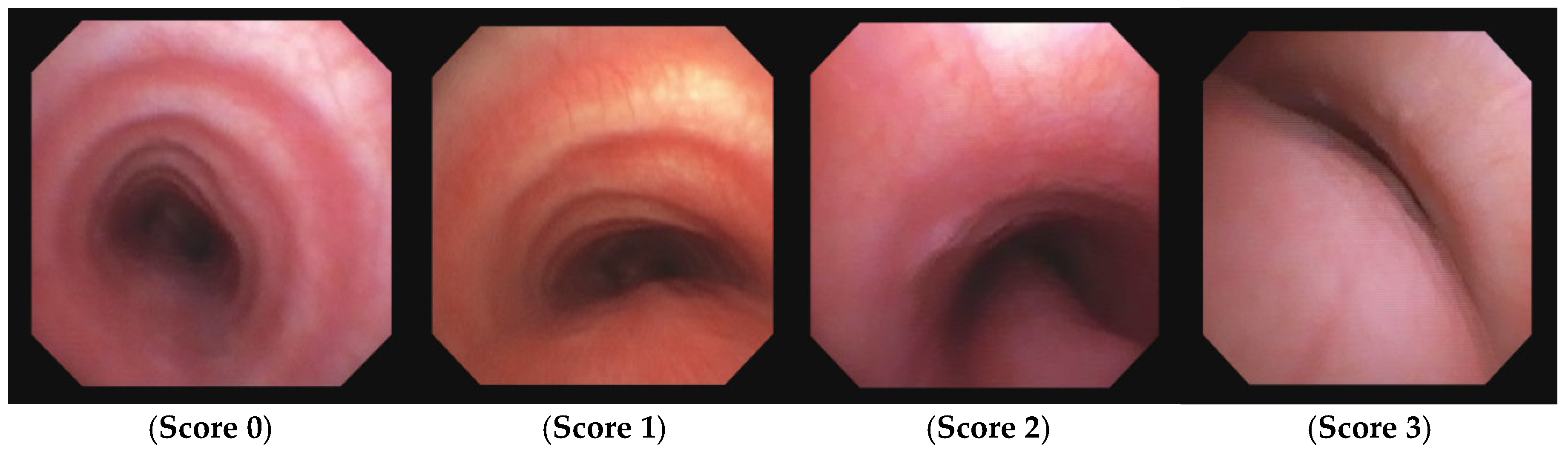 Preprints 172178 g008