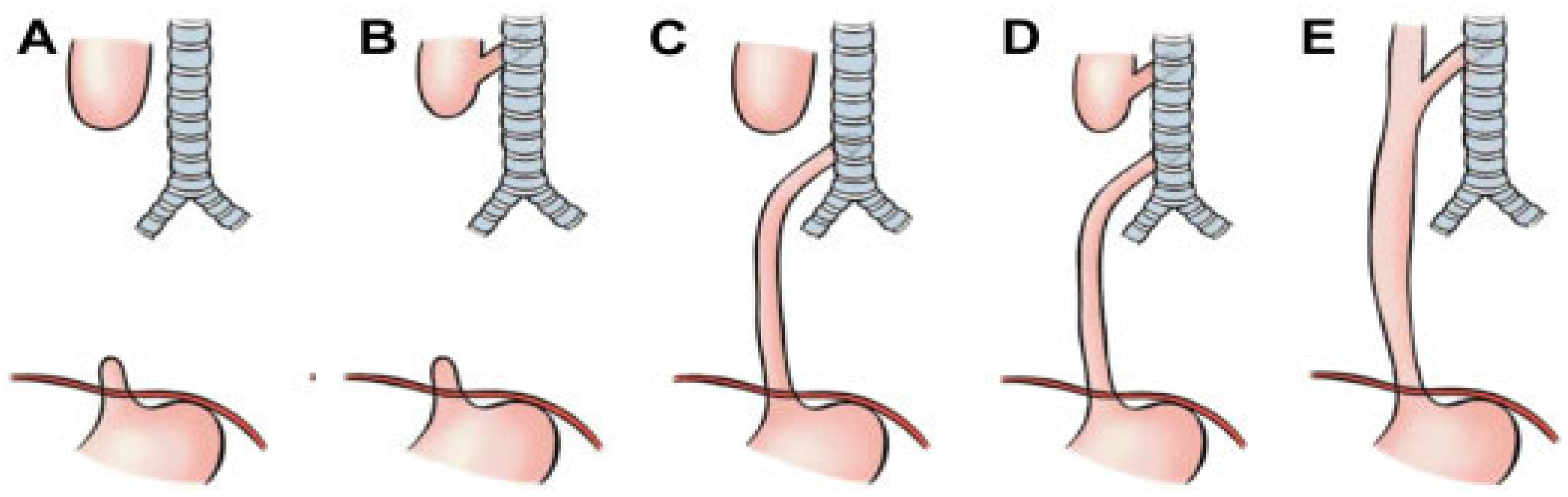 Preprints 172178 g009