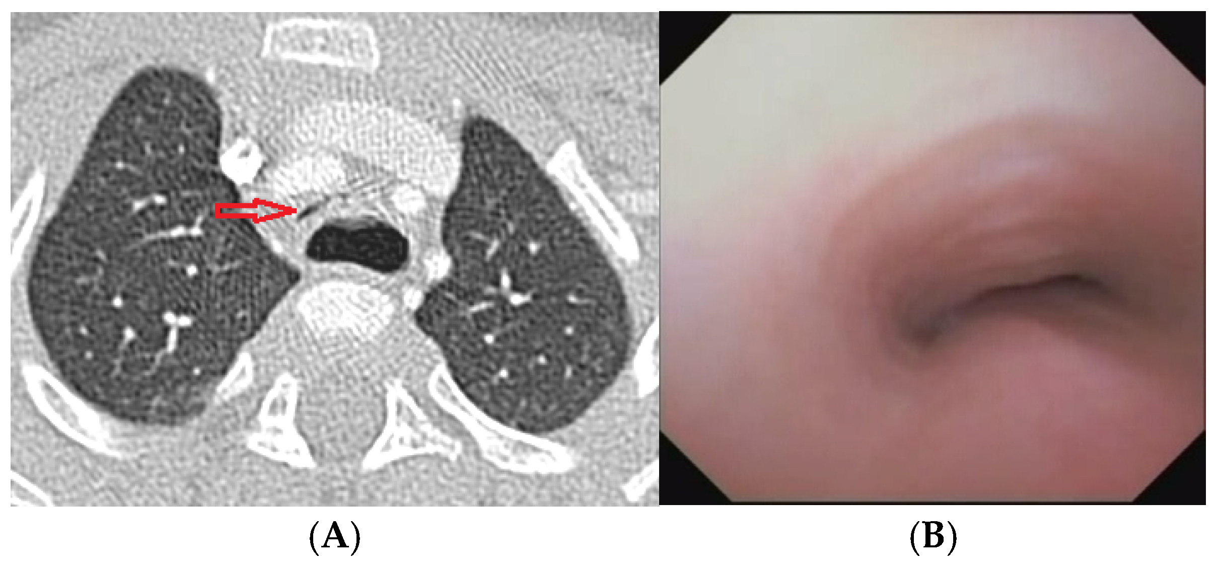Preprints 172178 g010