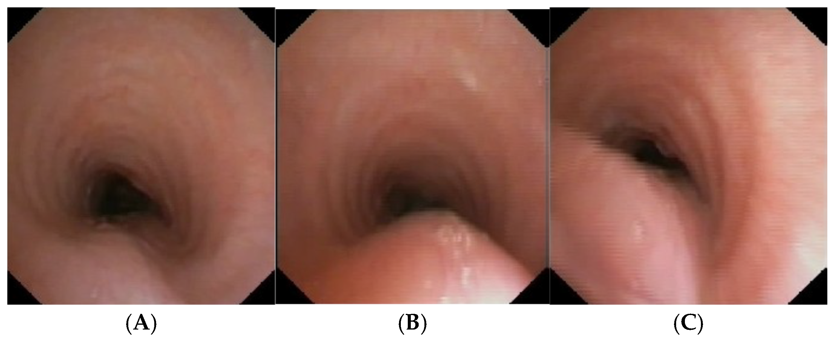 Preprints 172178 g013