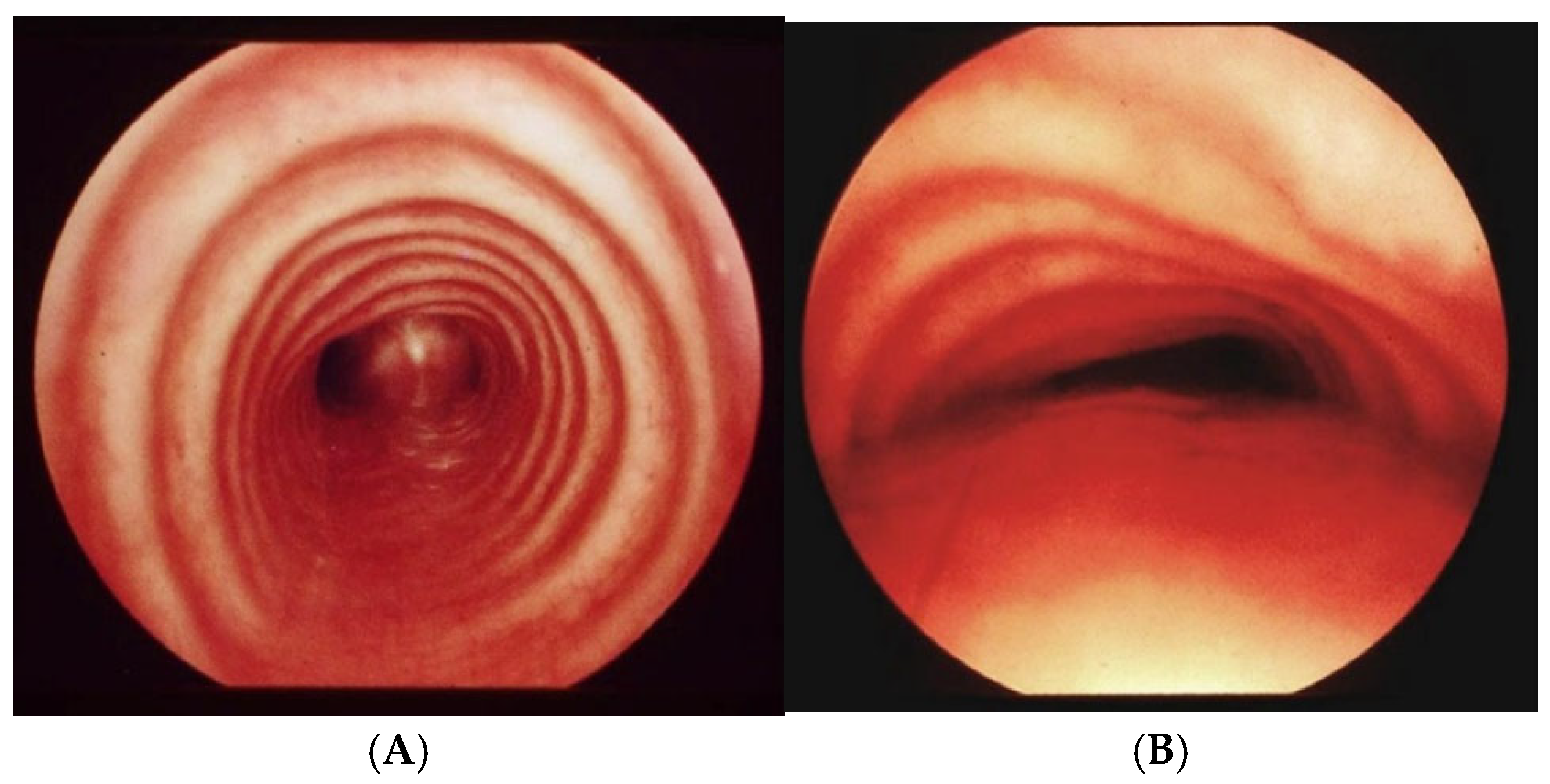 Preprints 172178 g015