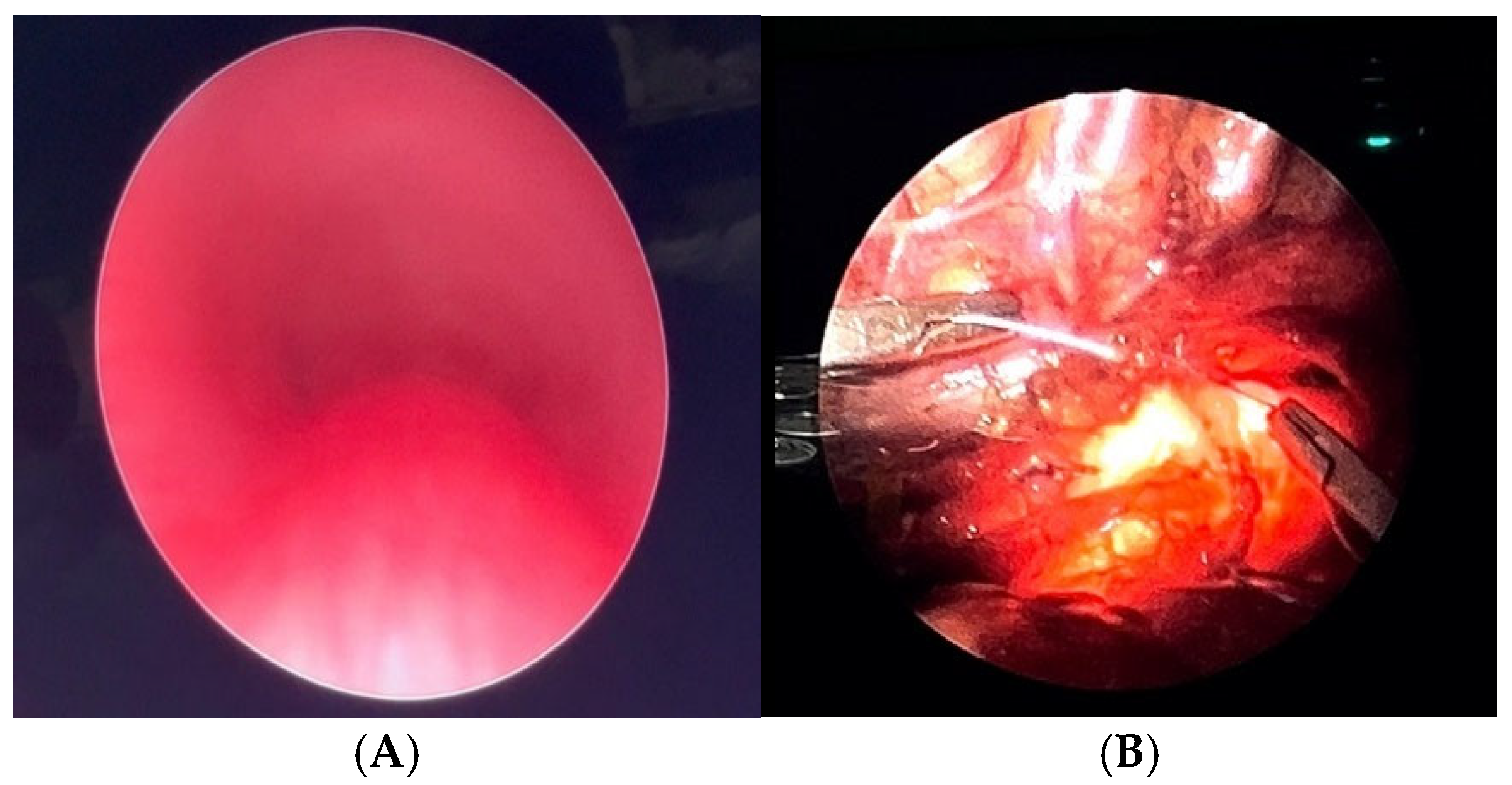 Preprints 172178 g016