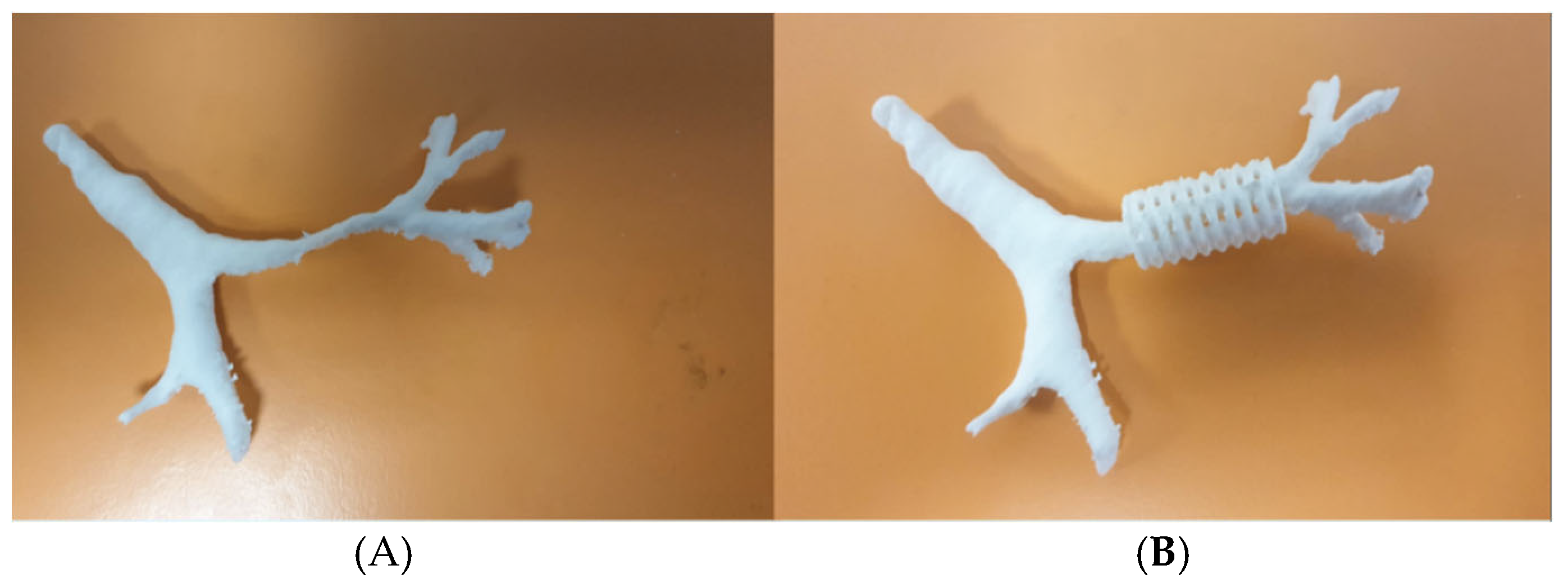 Preprints 172178 g017