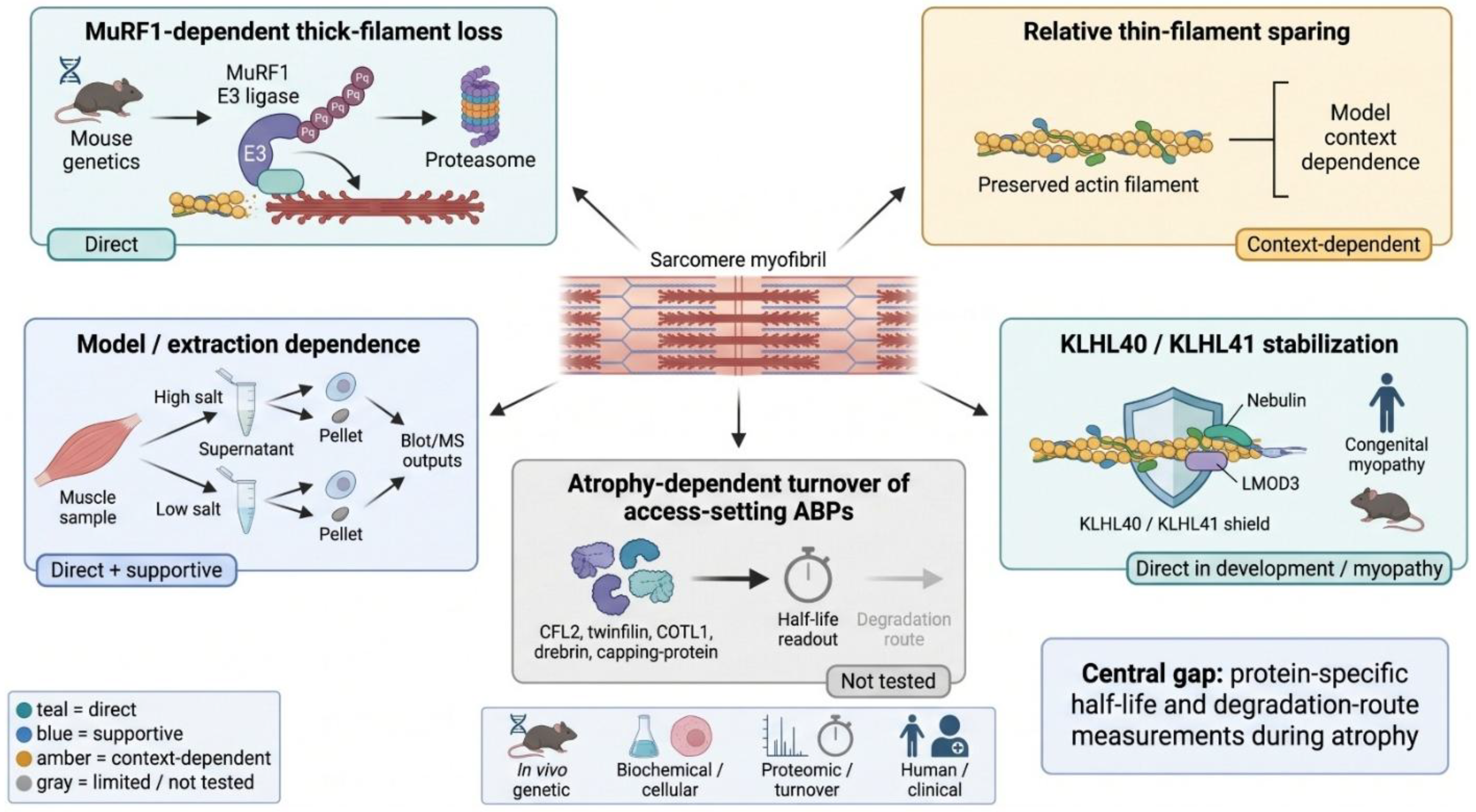Preprints 230297 g002