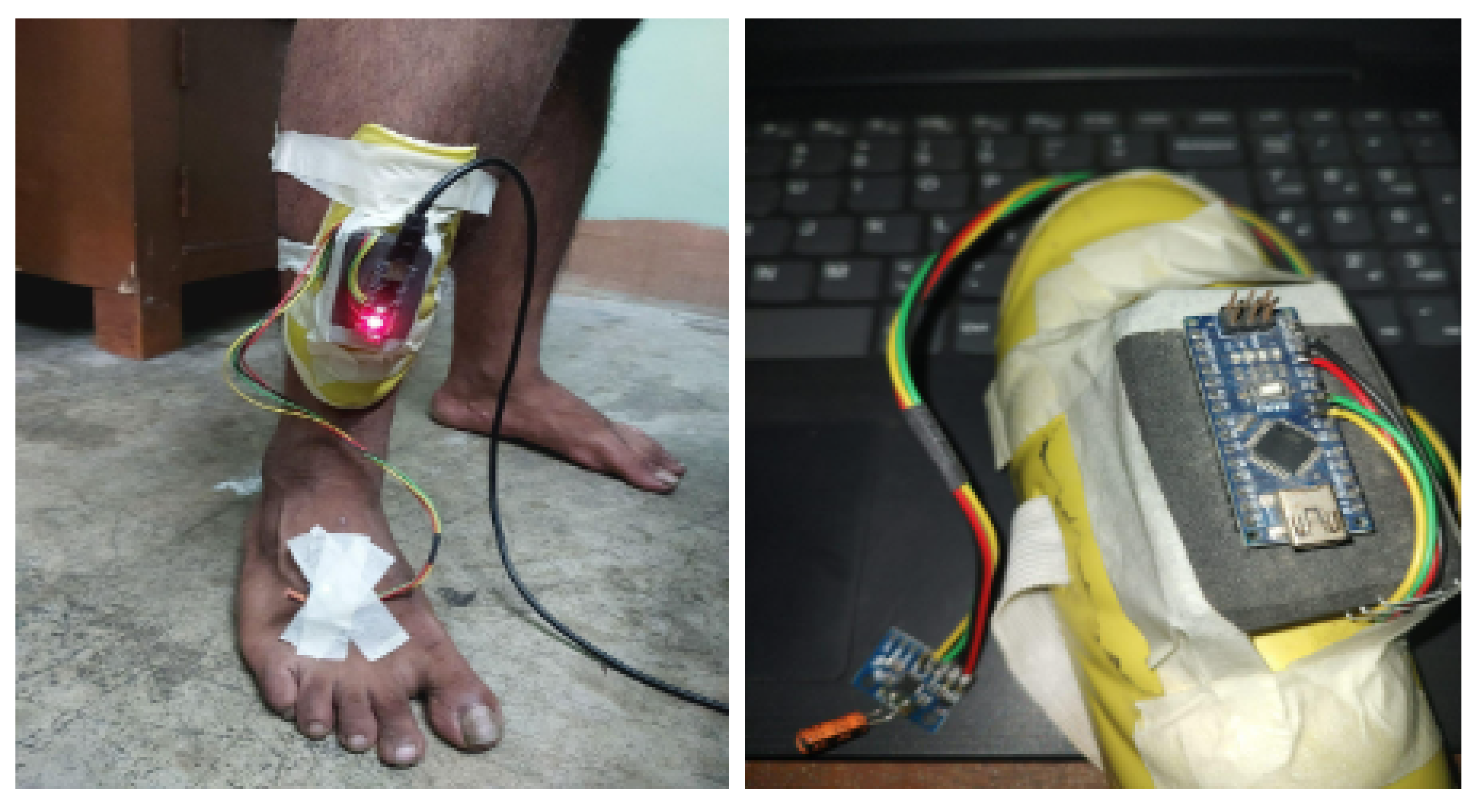 Preprints 140333 g003