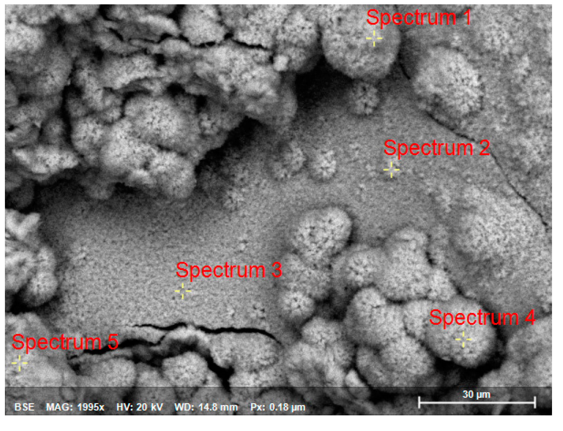 Preprints 81680 g006