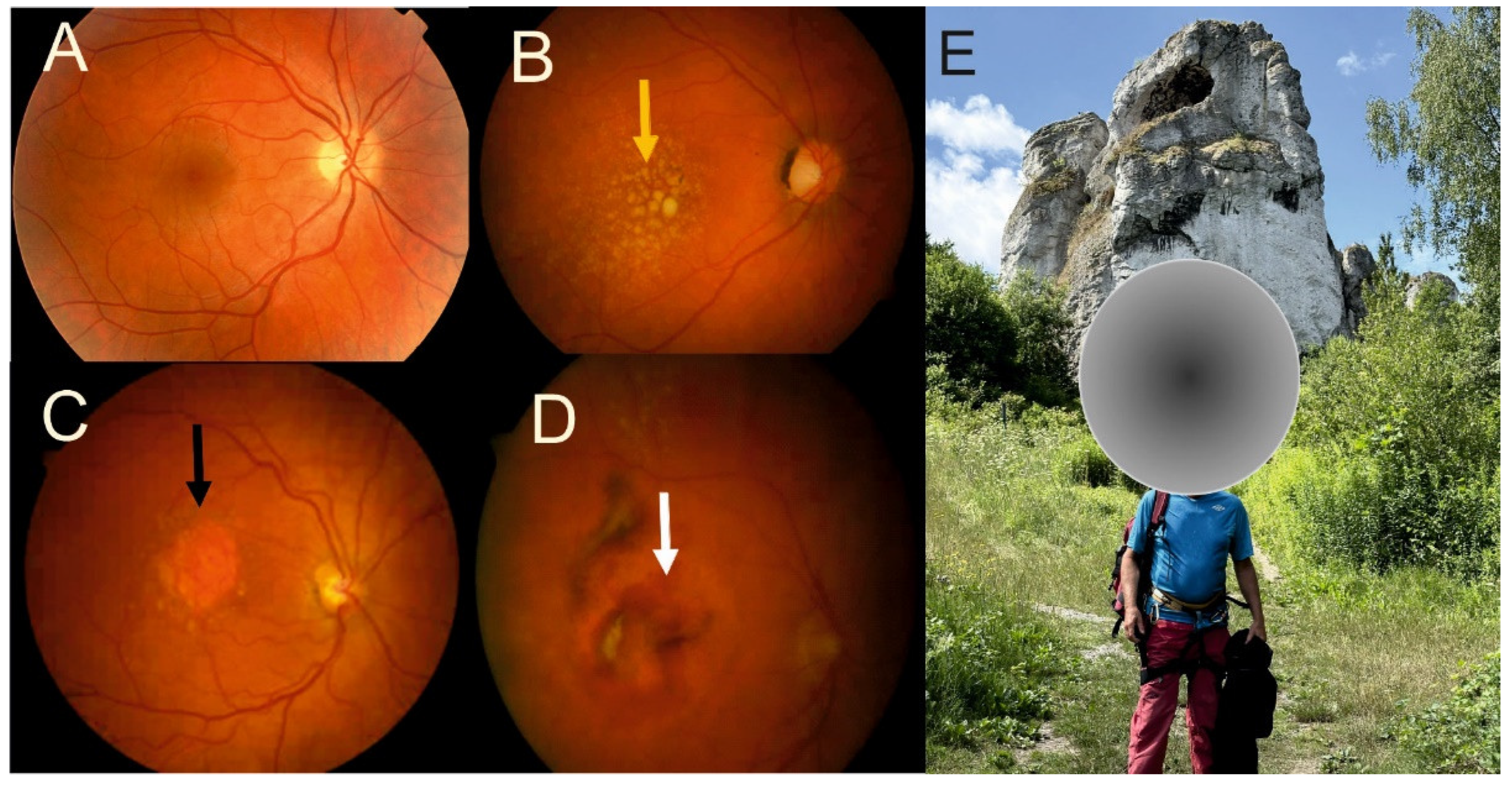 Preprints 141175 g001