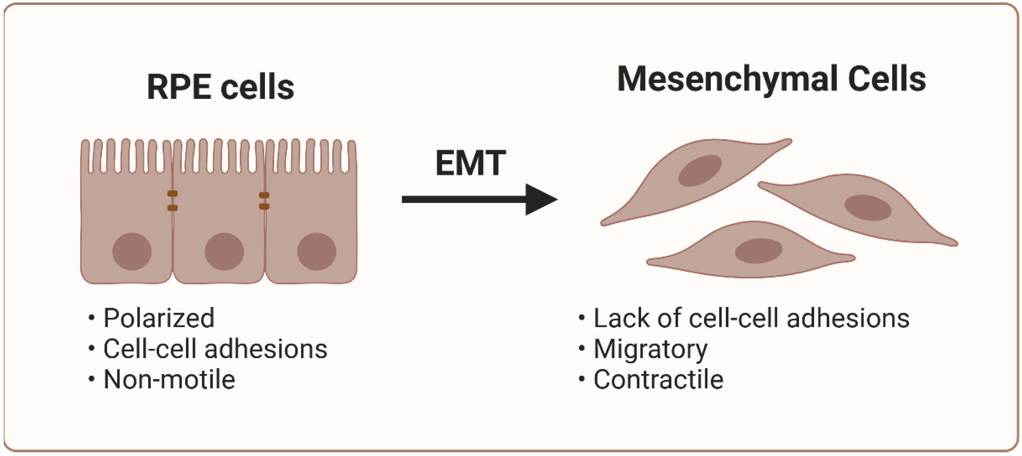 Preprints 141175 g003