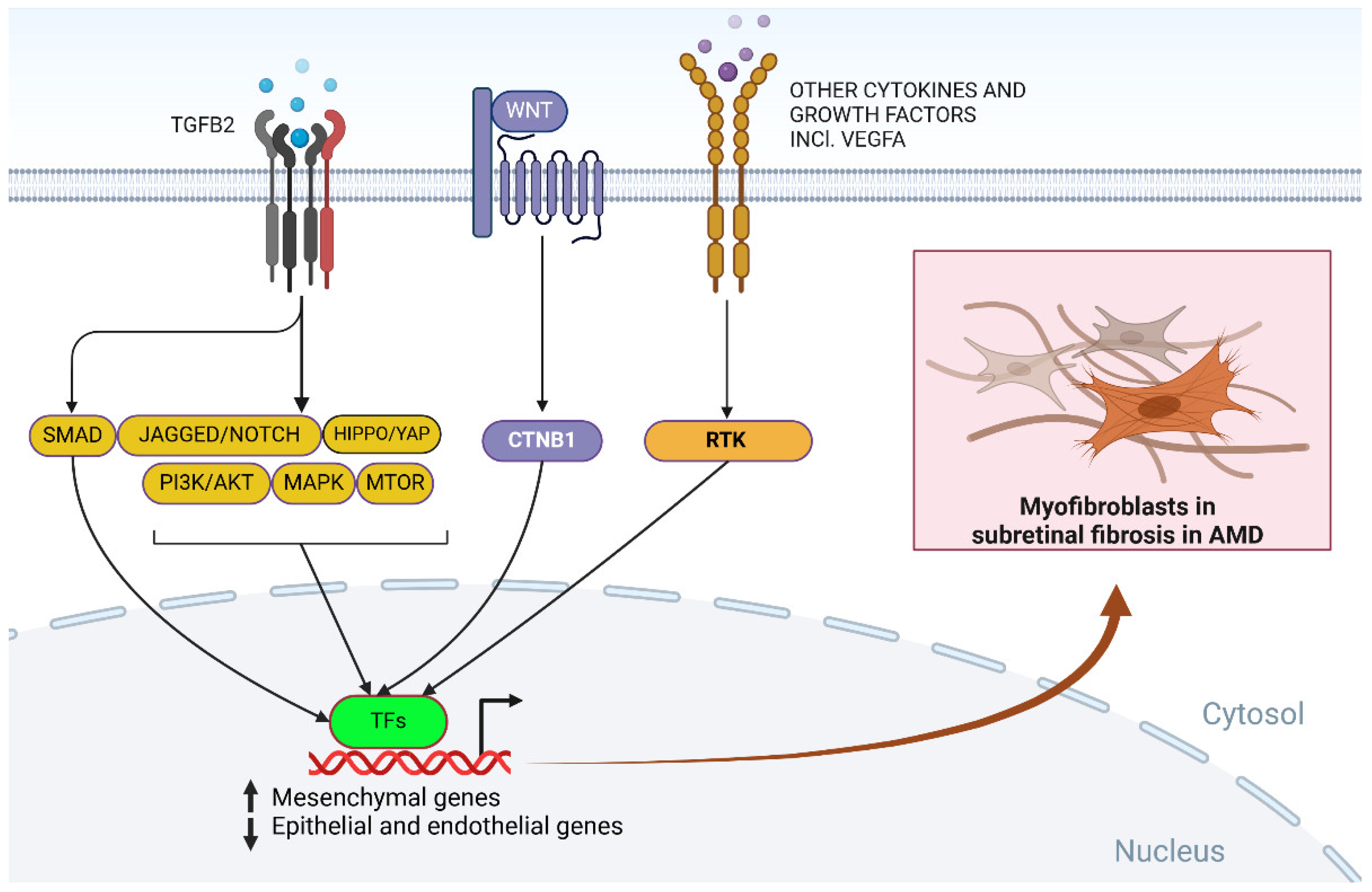 Preprints 141175 g004