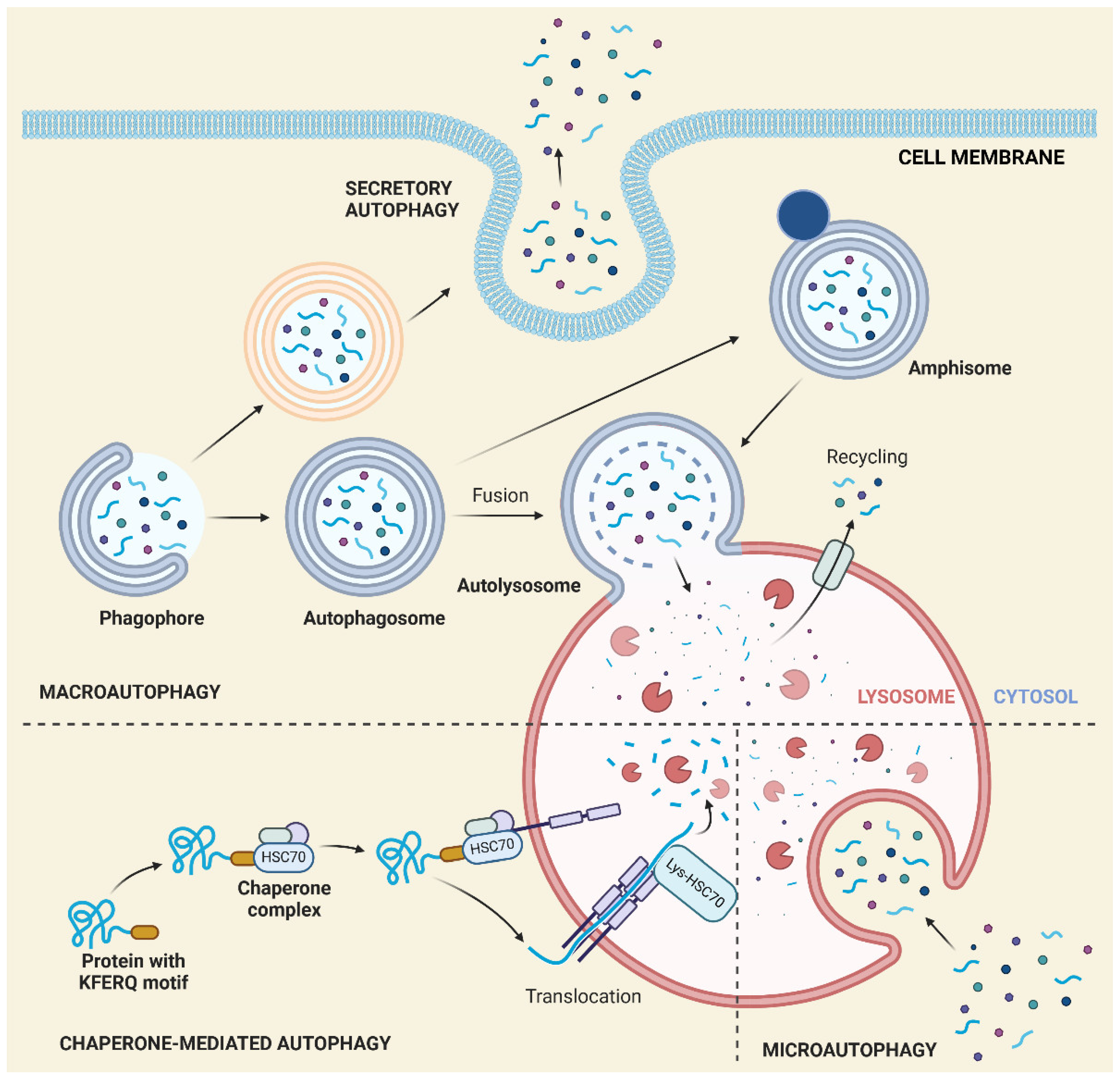 Preprints 141175 g005