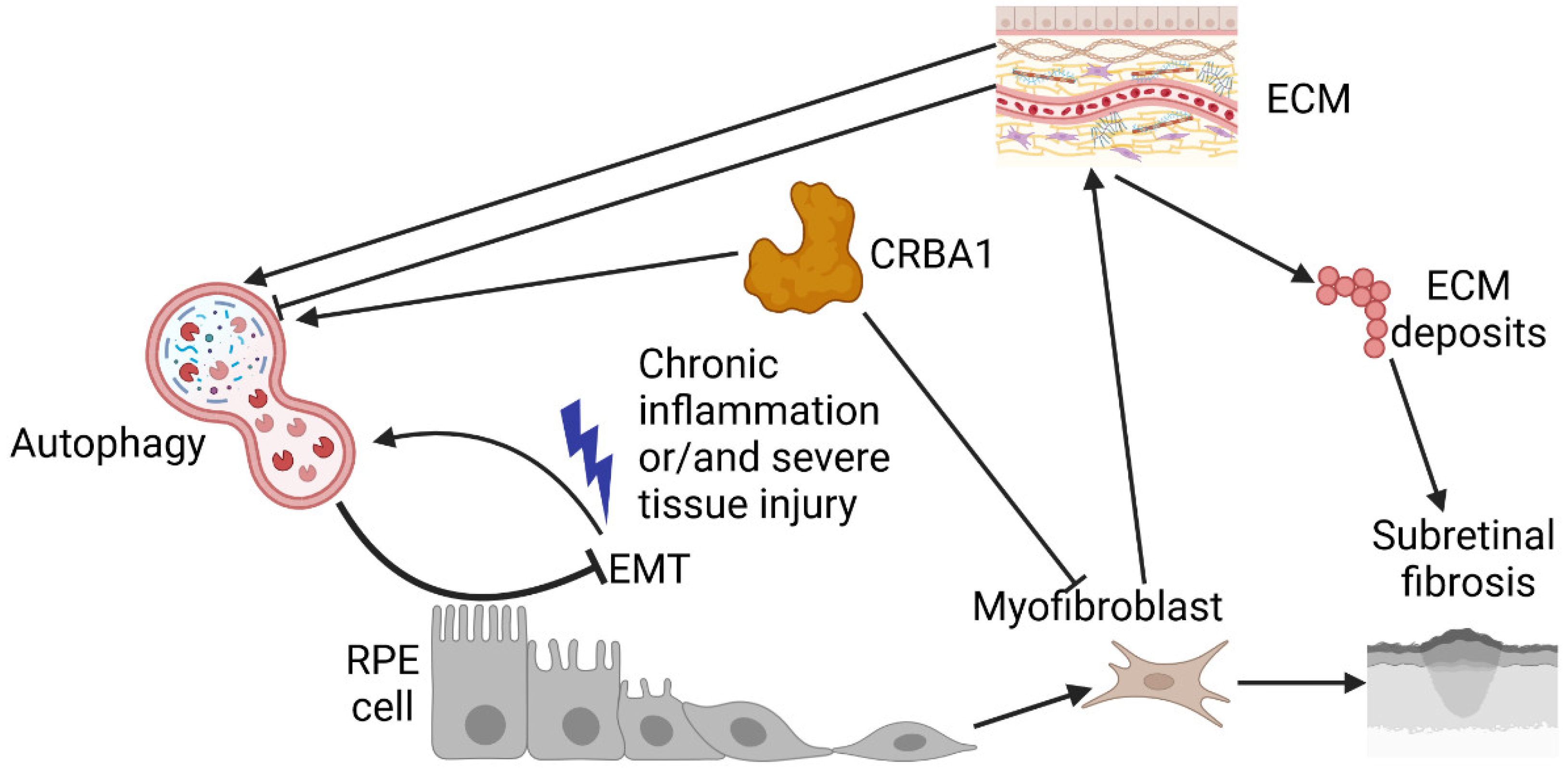 Preprints 141175 g007