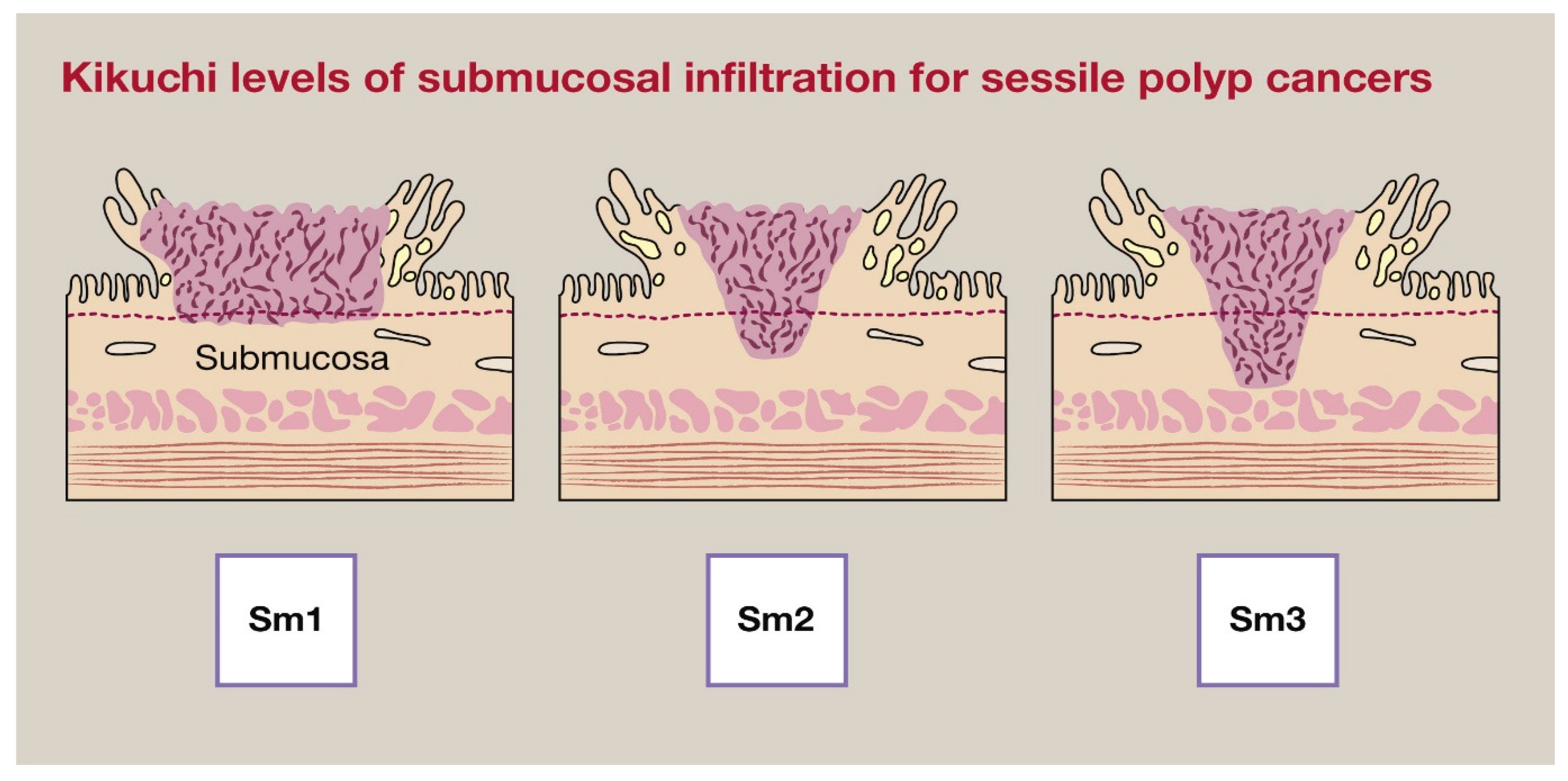 Preprints 144618 g002