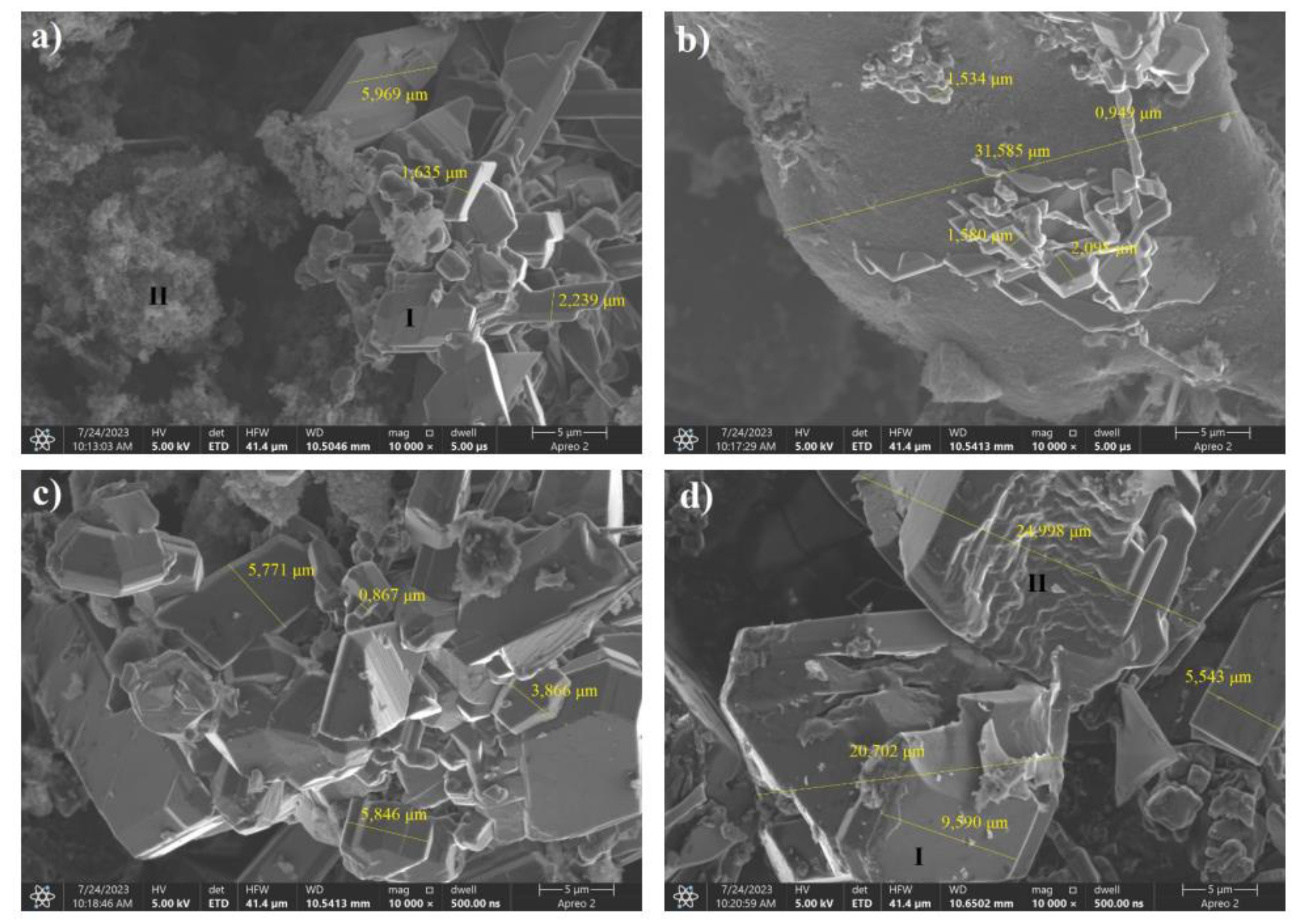 Preprints 94579 g013