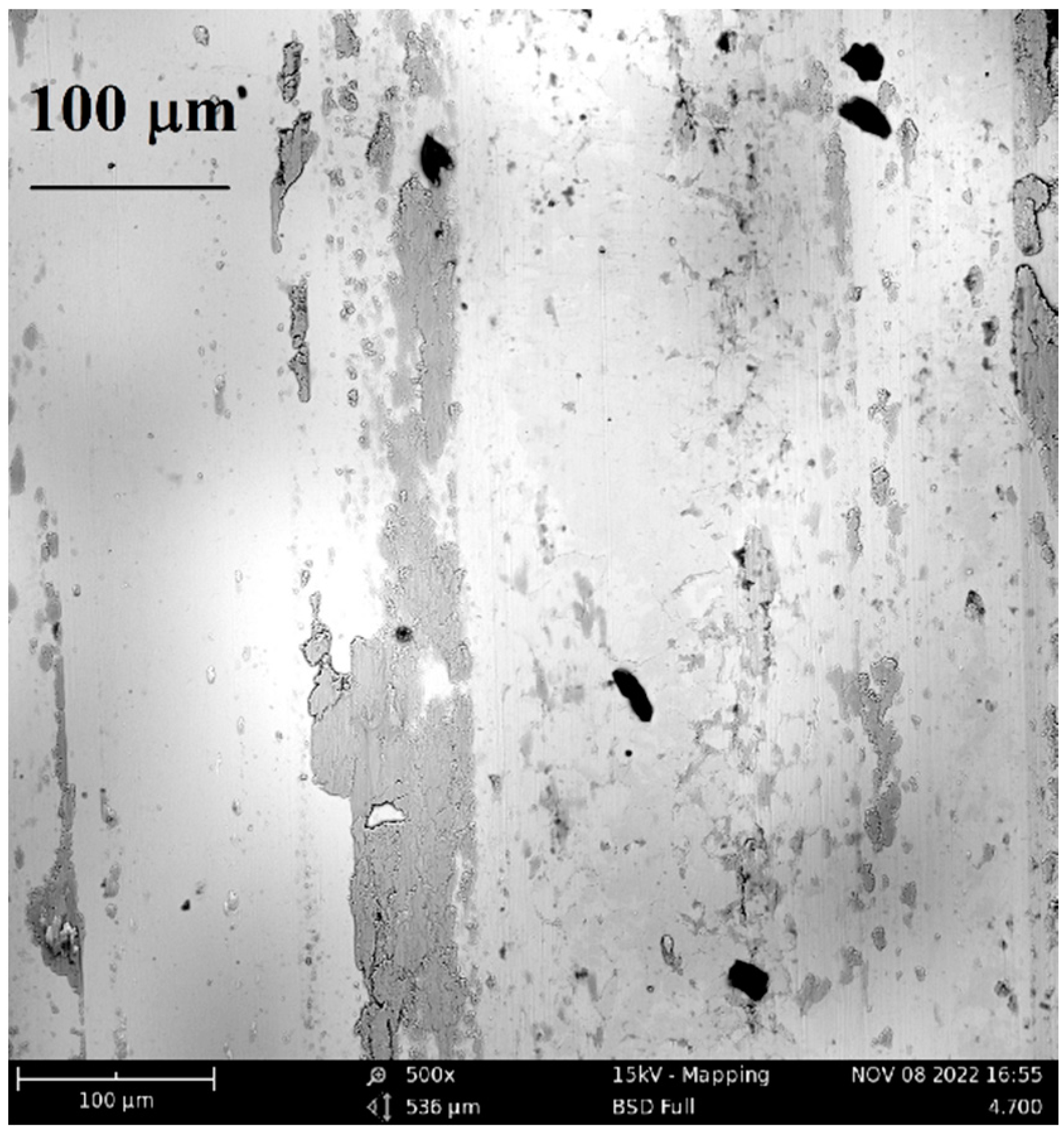 Preprints 77284 g020