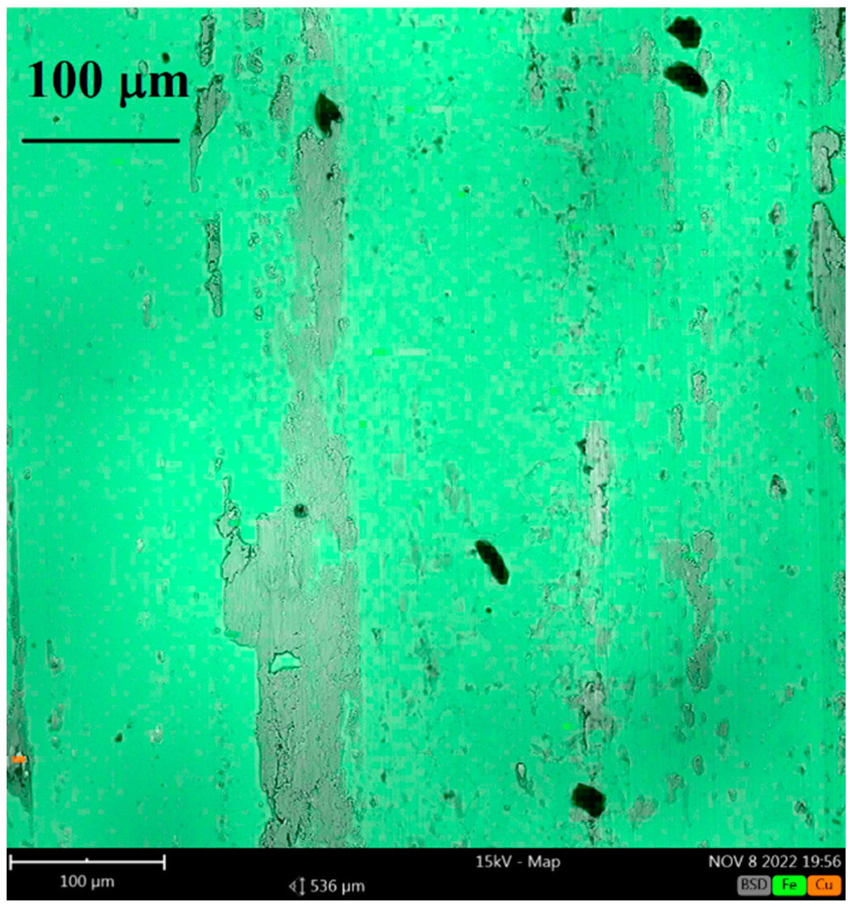 Preprints 77284 g021