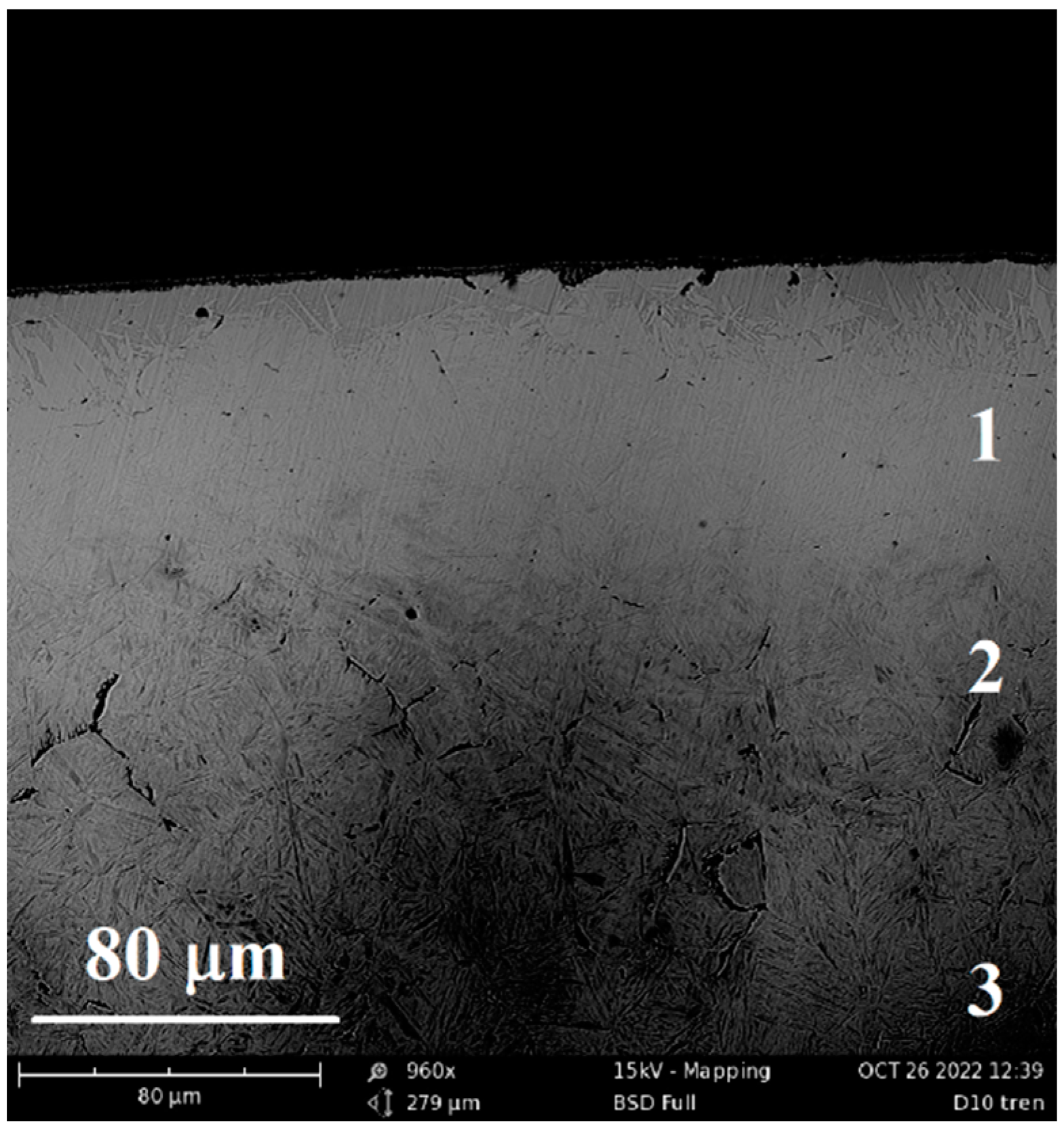 Preprints 77284 g025