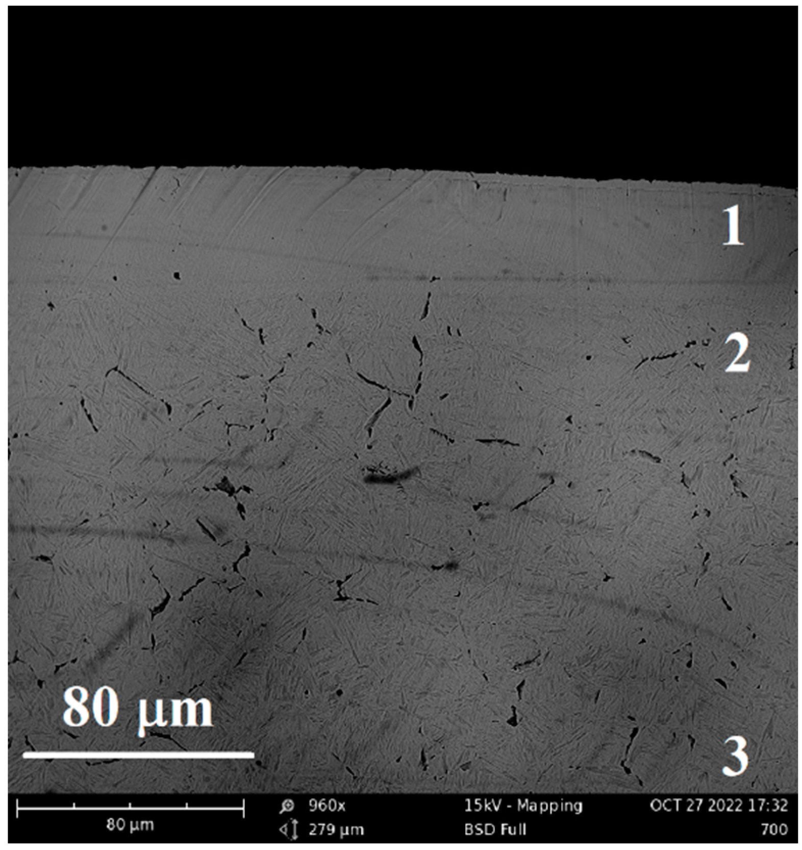 Preprints 77284 g026