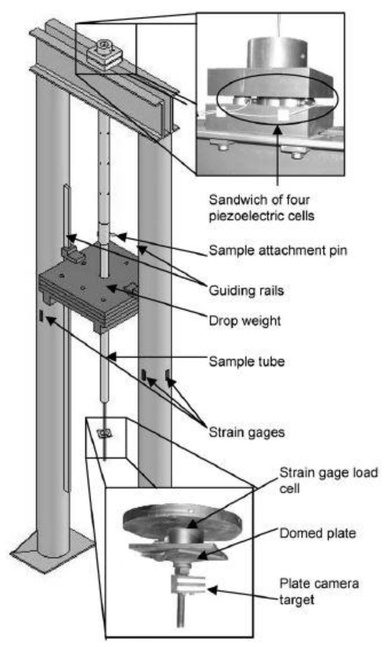 Preprints 102873 g001