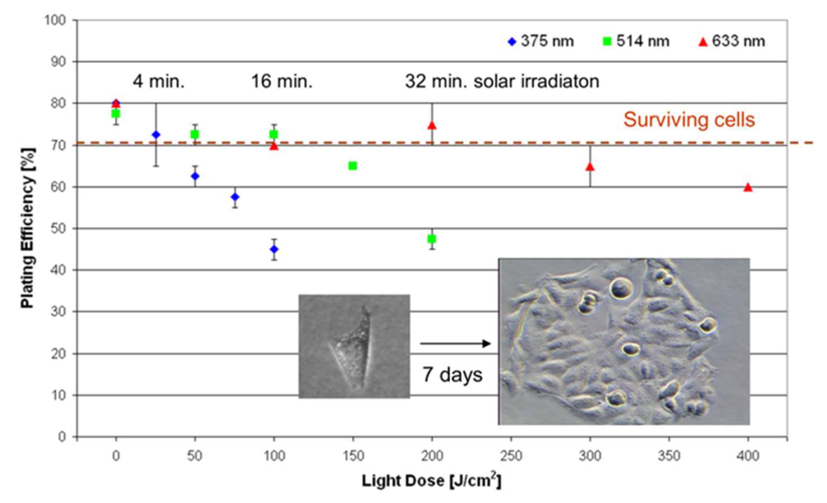 Preprints 141190 g001