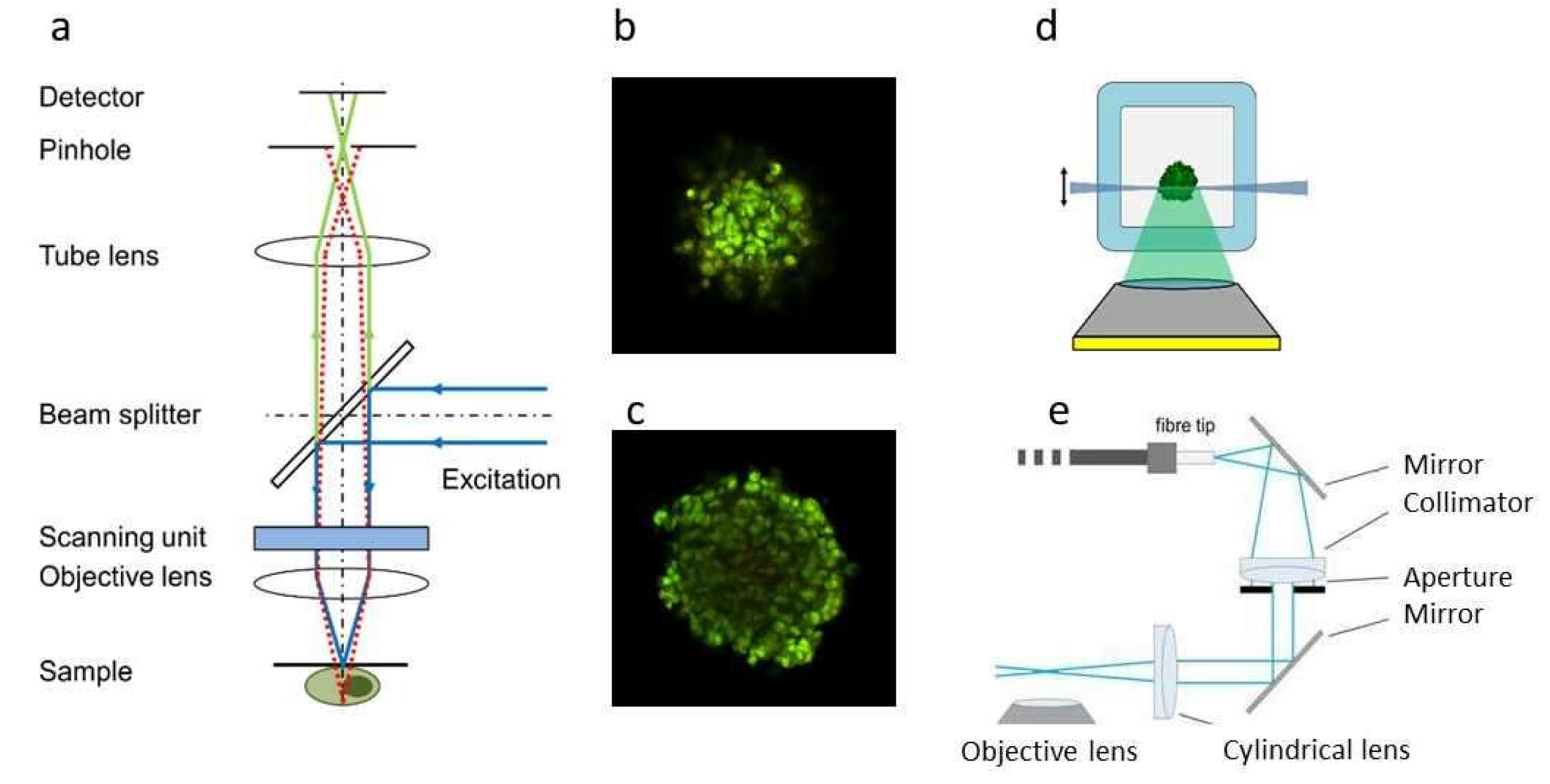 Preprints 141190 g002