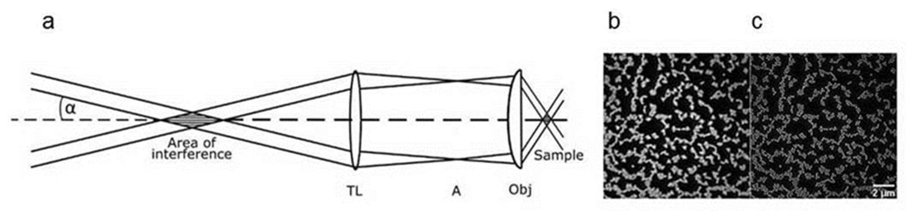 Preprints 141190 g003