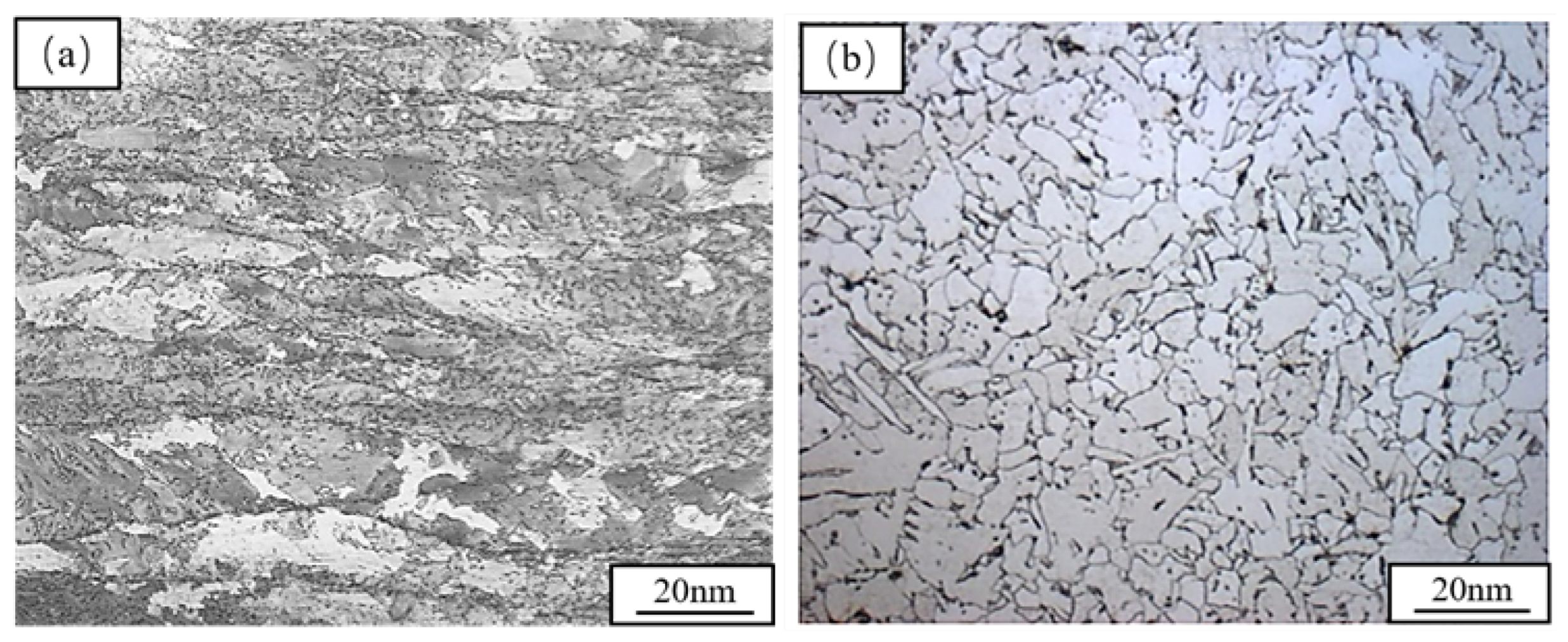 Preprints 196440 g003