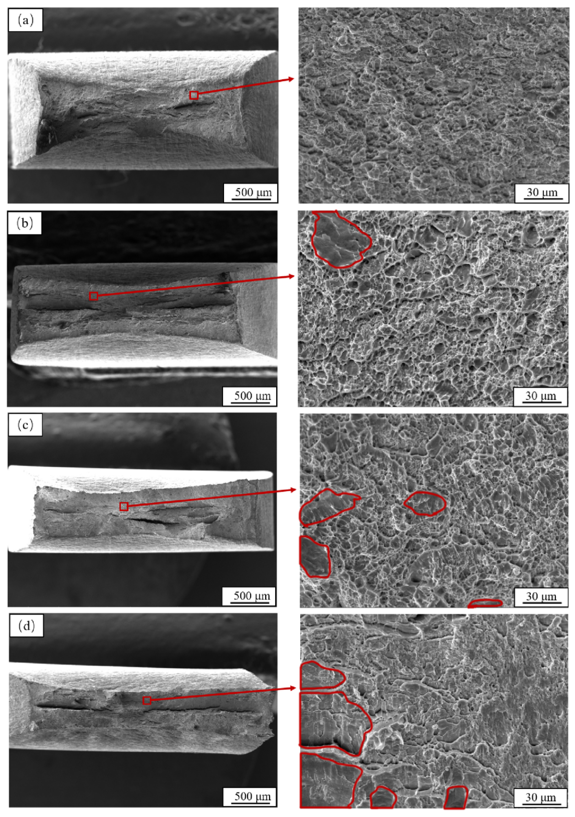 Preprints 196440 g005