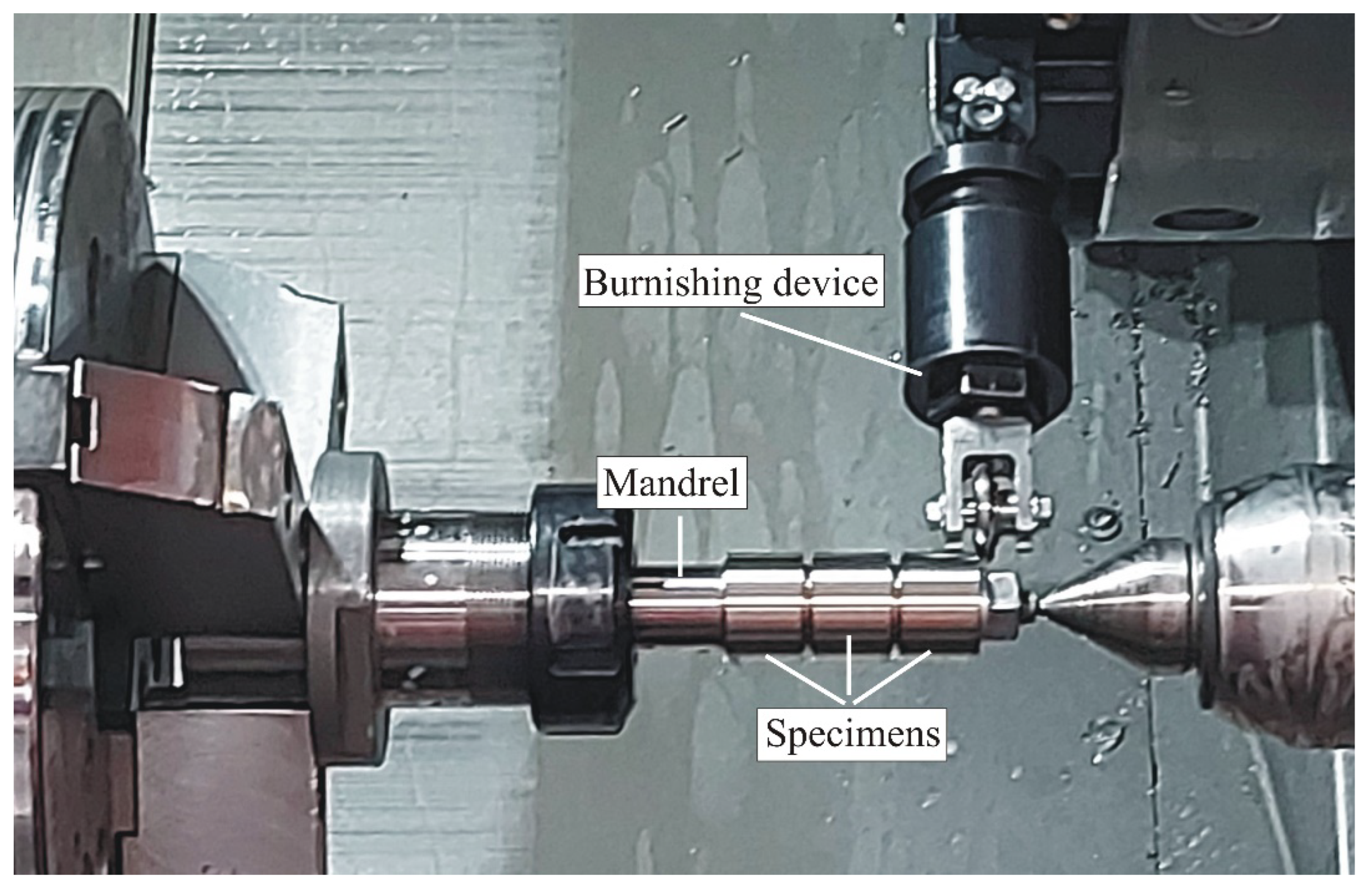 Preprints 93198 g009