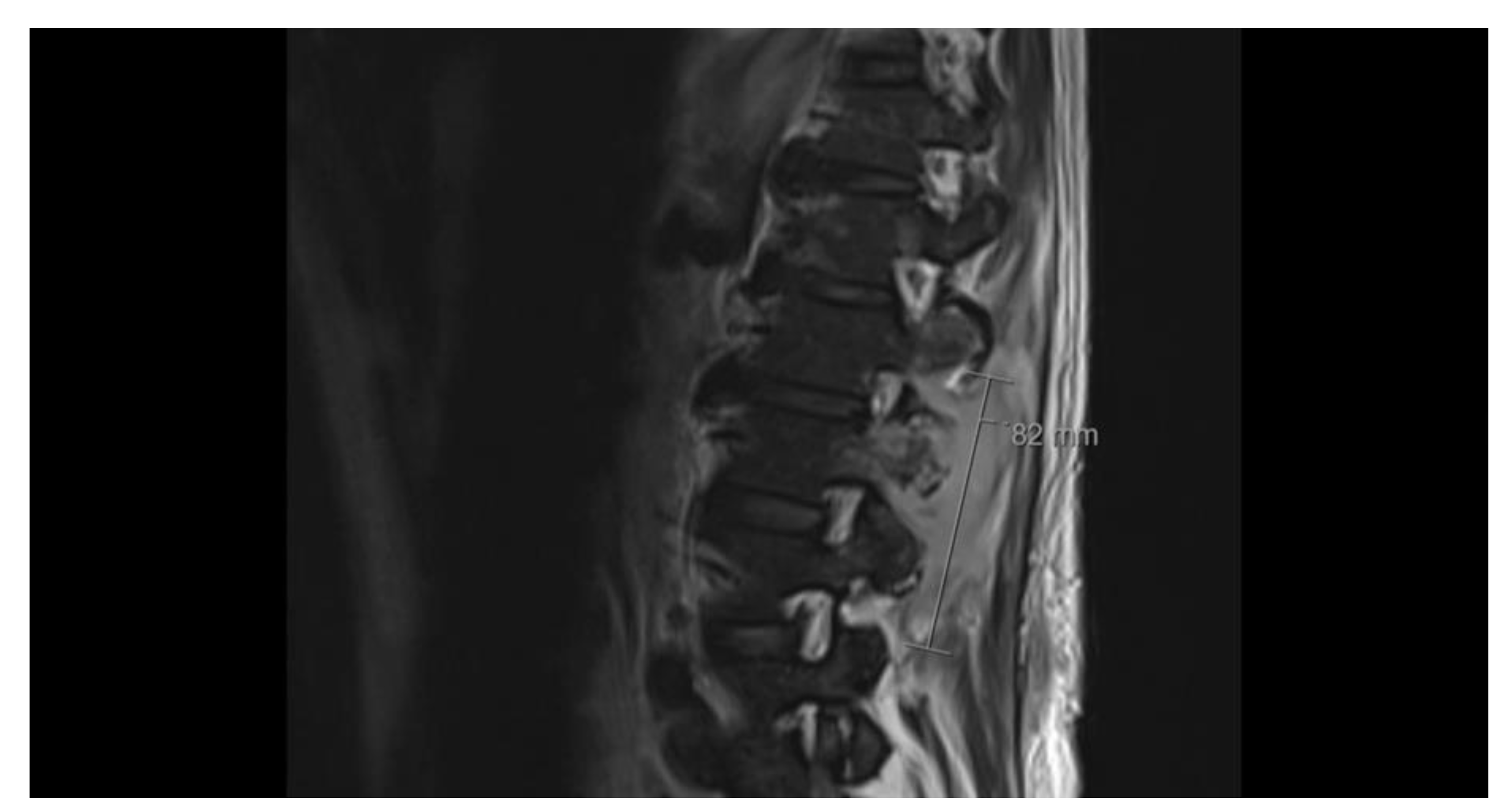 Preprints 176836 g002