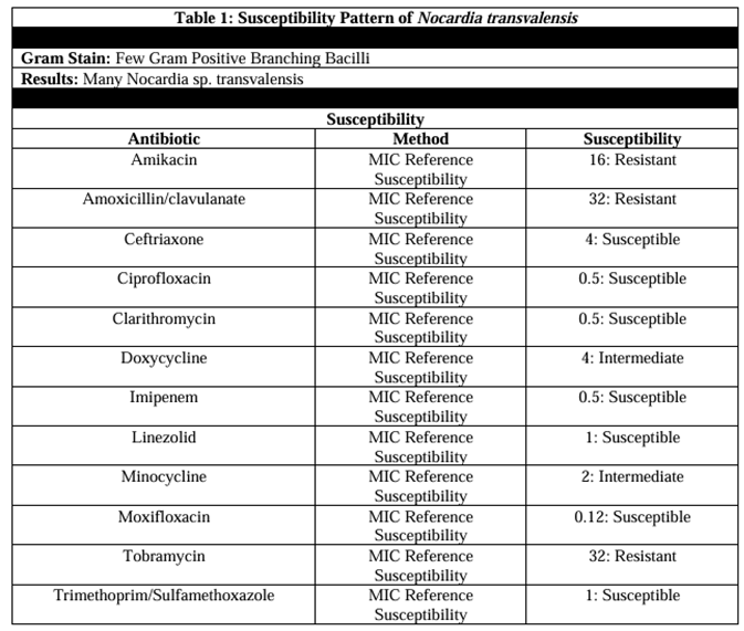 Preprints 176836 i001