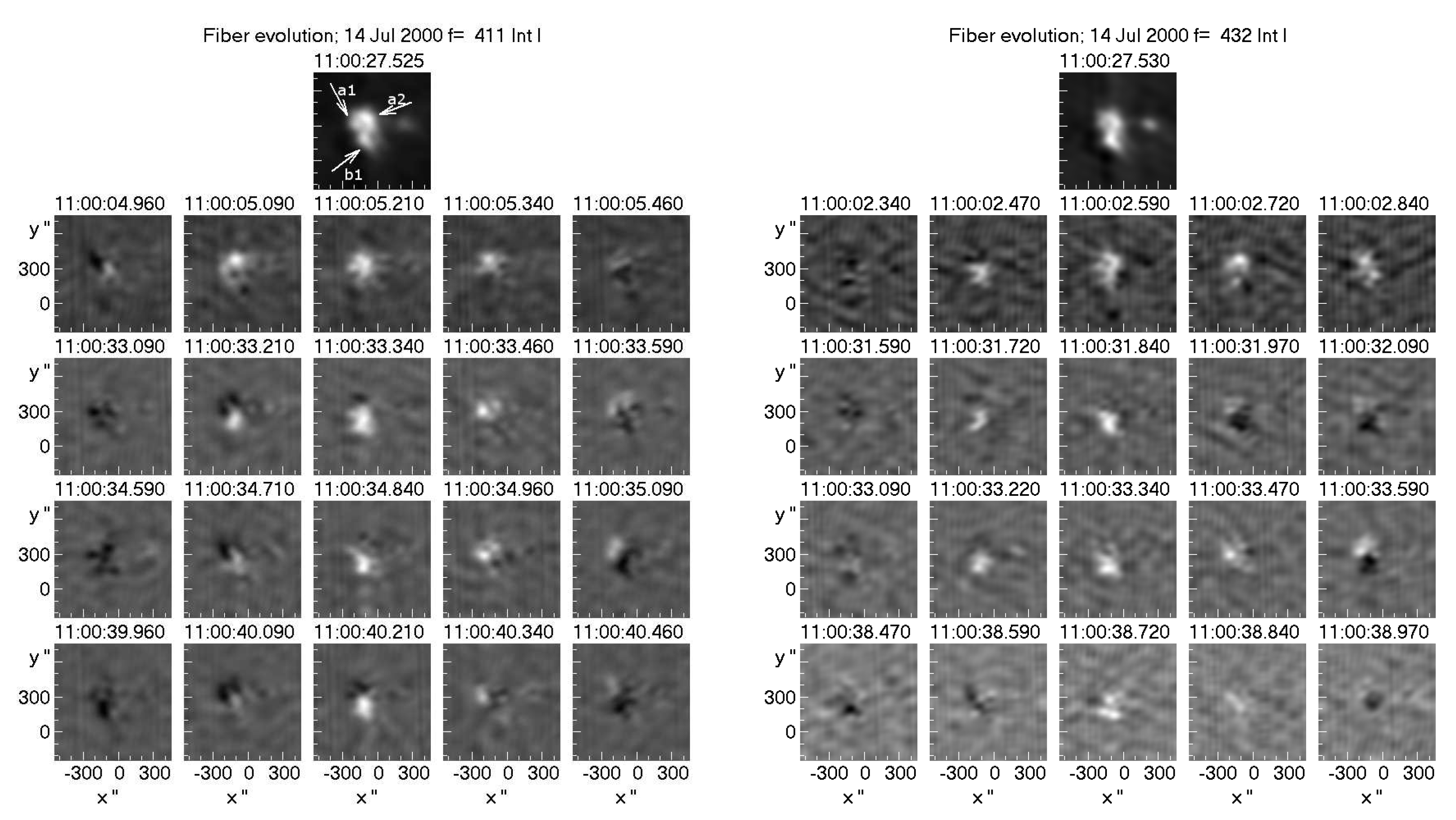 Preprints 83370 g033
