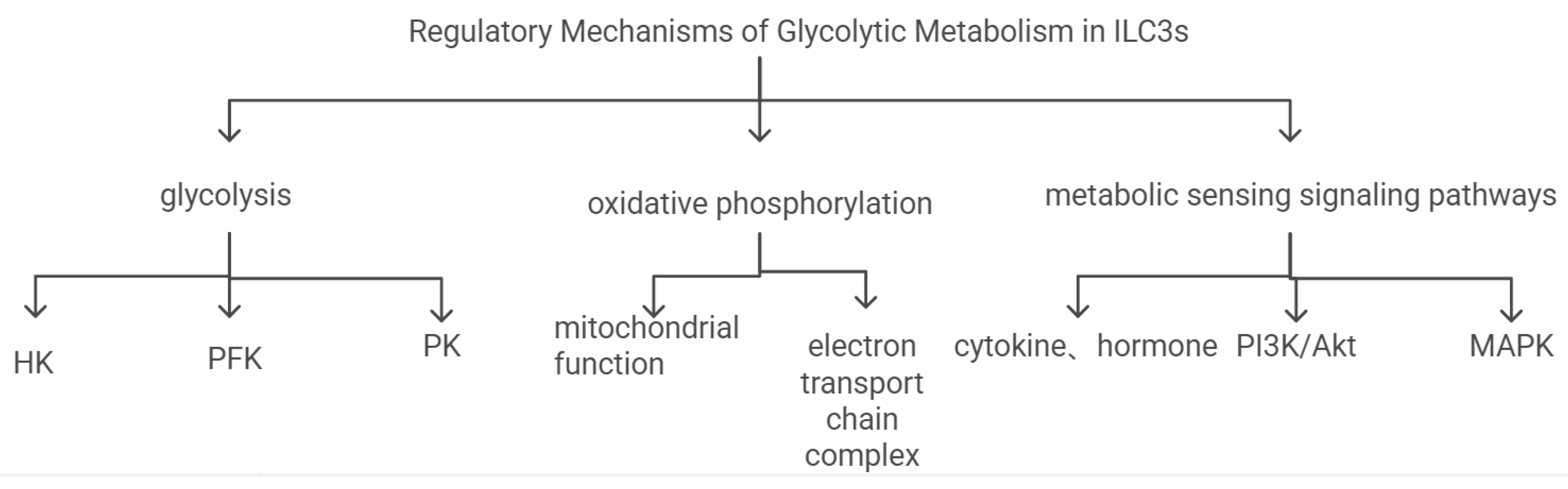Preprints 148303 g003