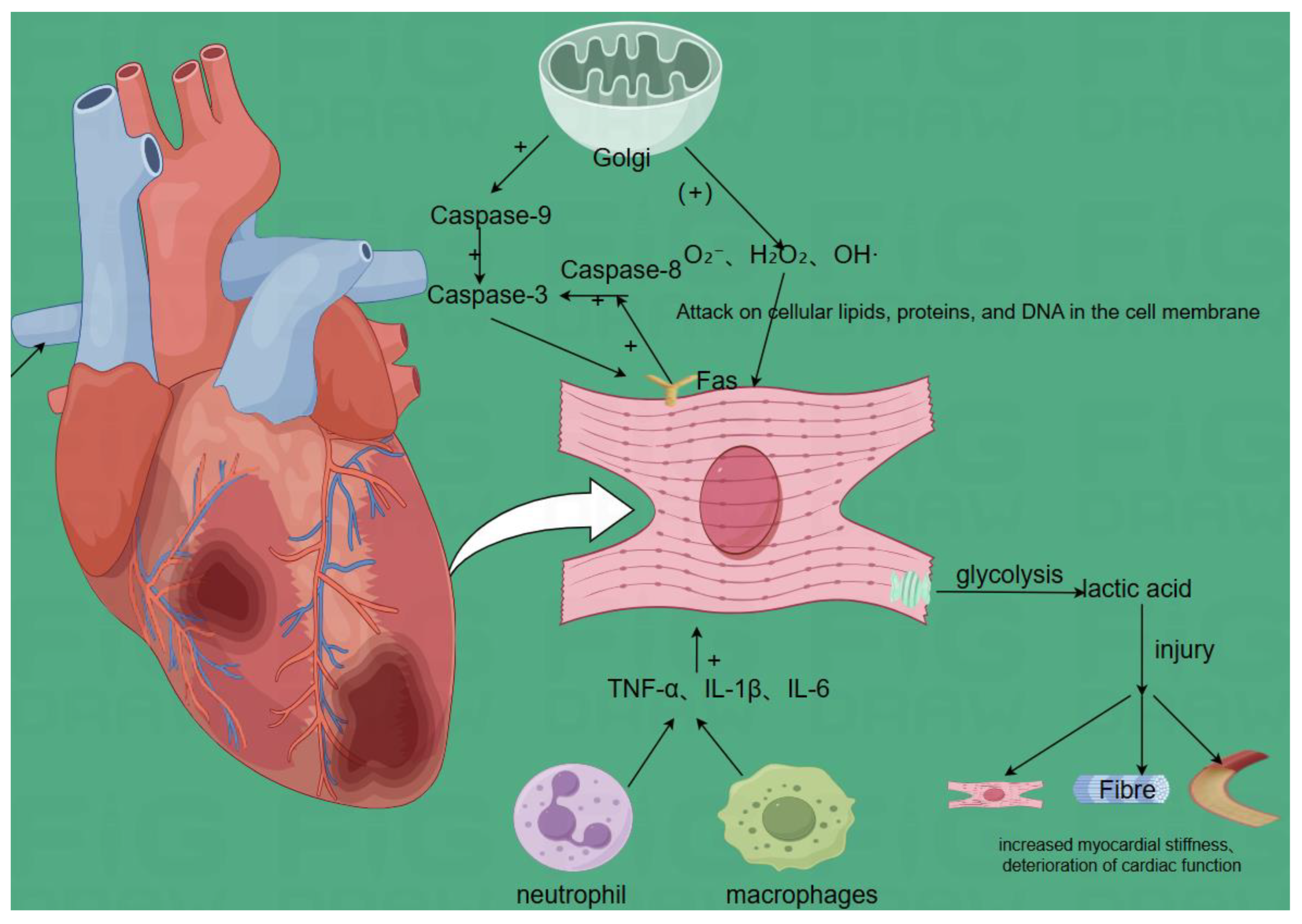 Preprints 148303 g004