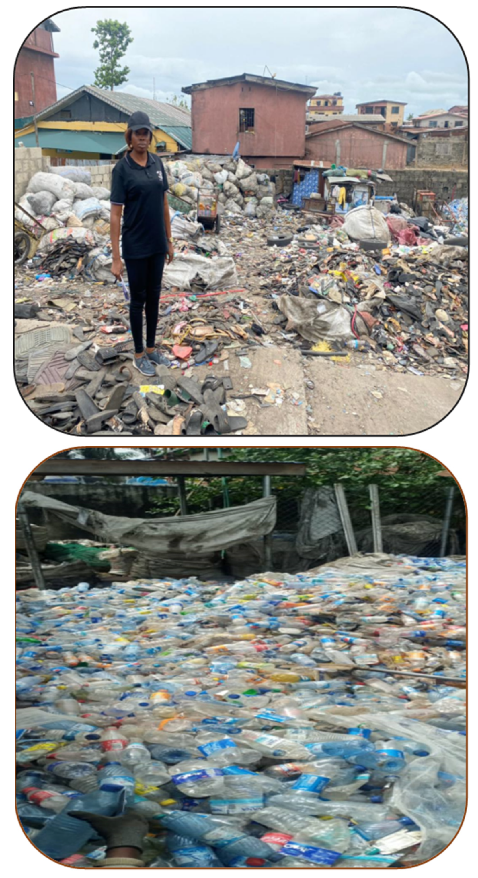 Preprints 101221 g001